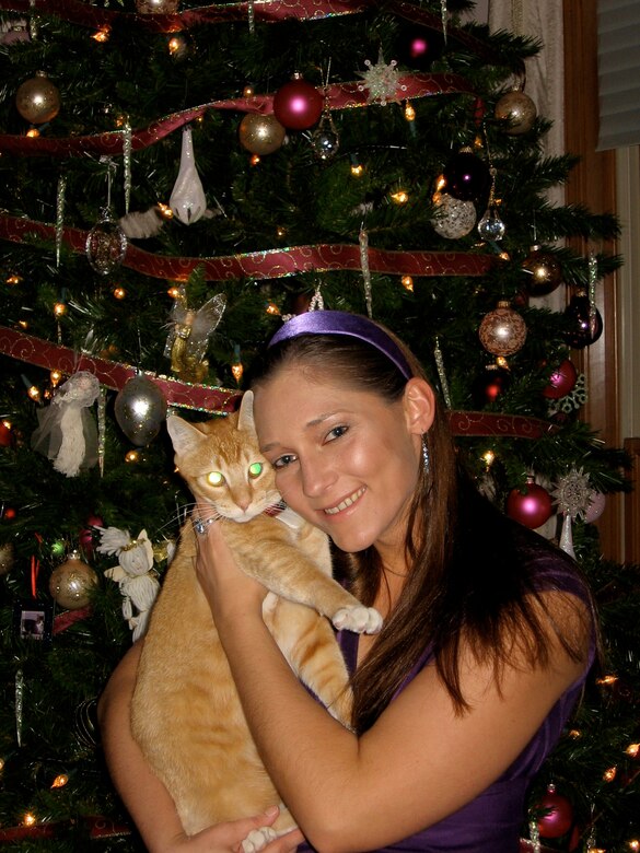 Keeping Your Pets Safe During The Holidays Air Force Space