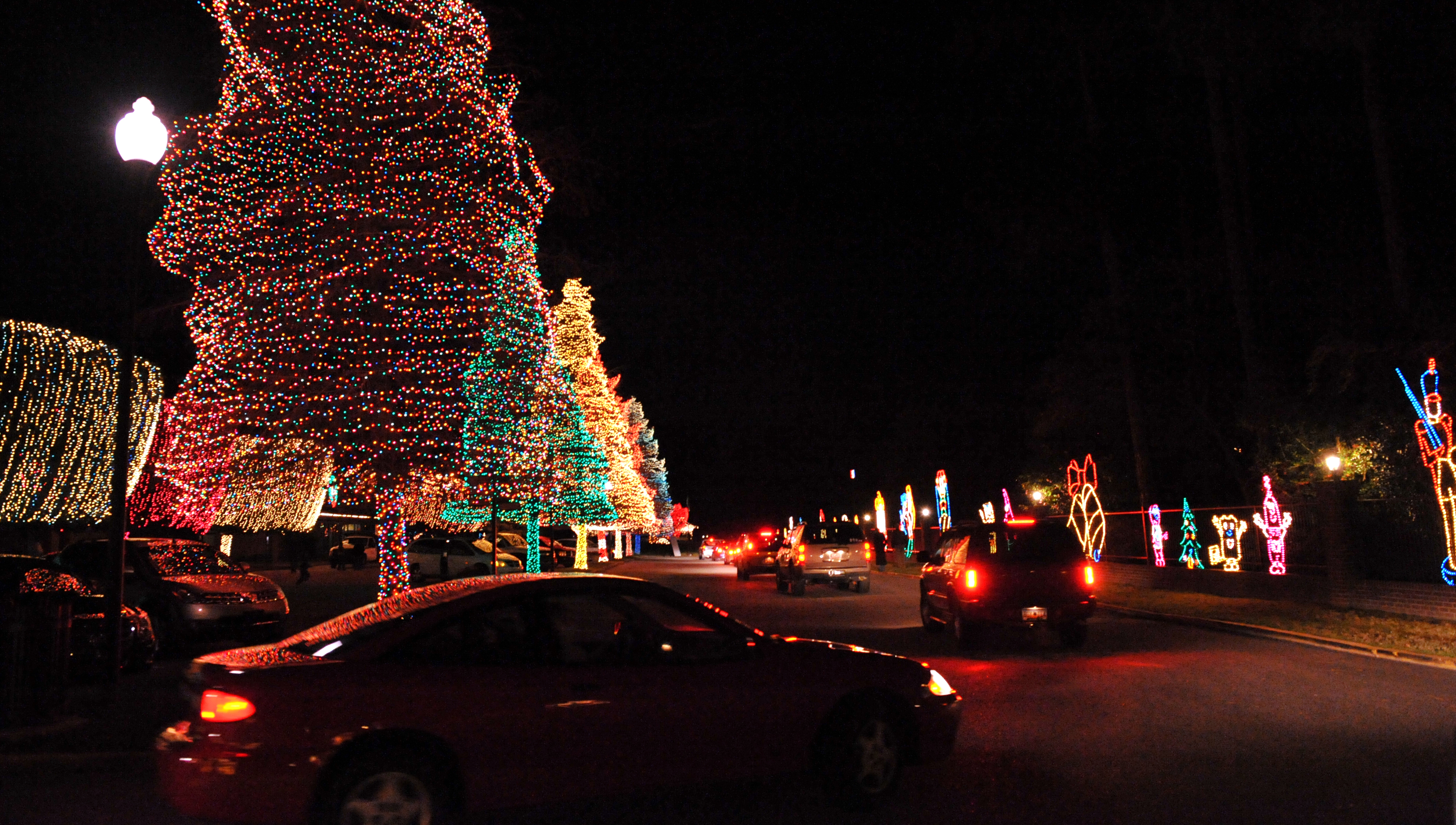 Swan Lake Iris Gardens Fantasy Of Lights