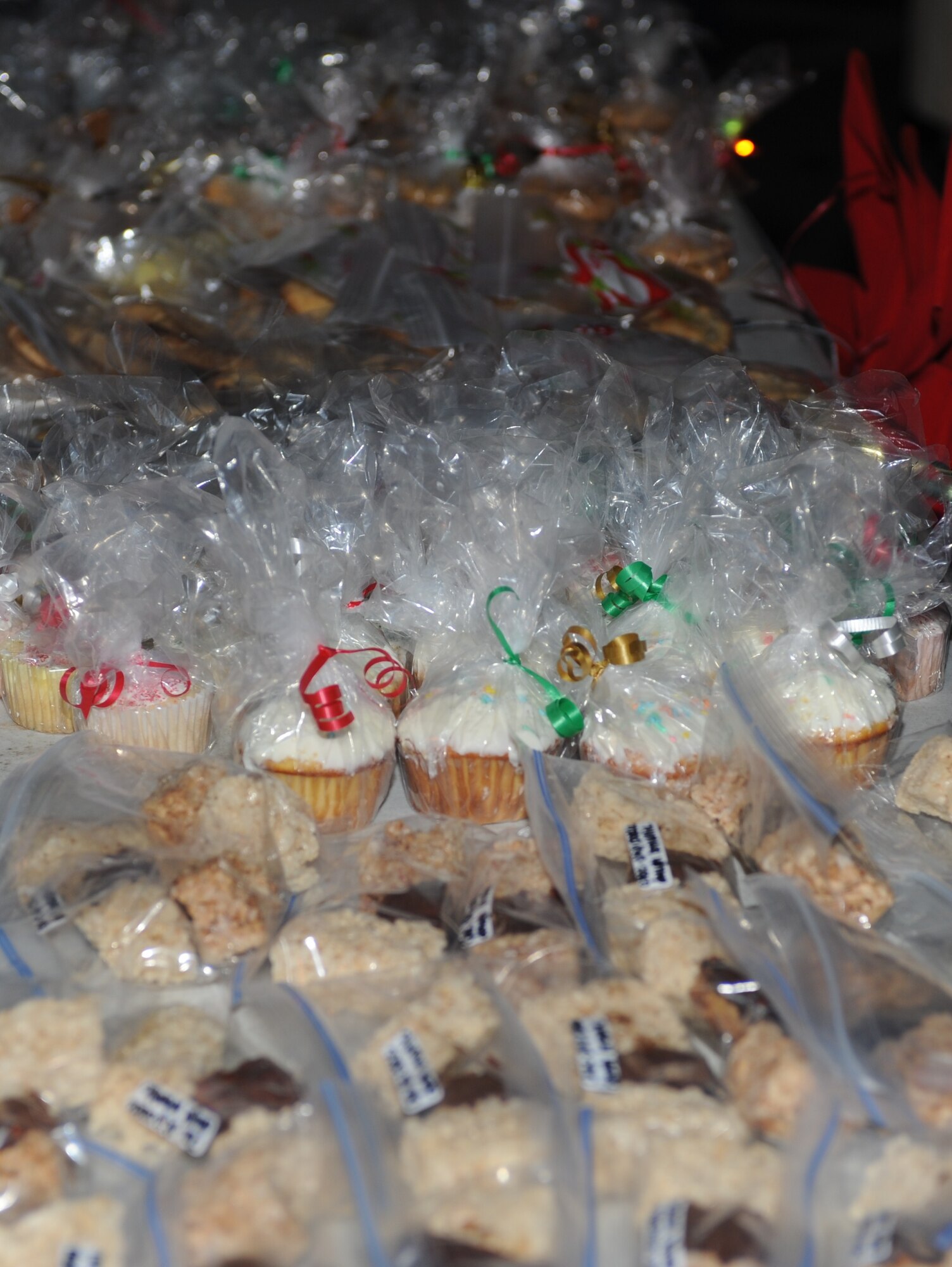 SEYMOUR JOHNSON AIR FORCE BASE, N.C. – A table of snacks stand ready for purchase during the Christmas tree lighting ceremony in the Base Exchange parking lot here Dec. 6, 2010. The 4th Component Maintenance Squadron sold the treats to raise funds for their squadron’s Christmas party. (U.S. Air Force photo/Tech. Sgt. Tammie Moore)