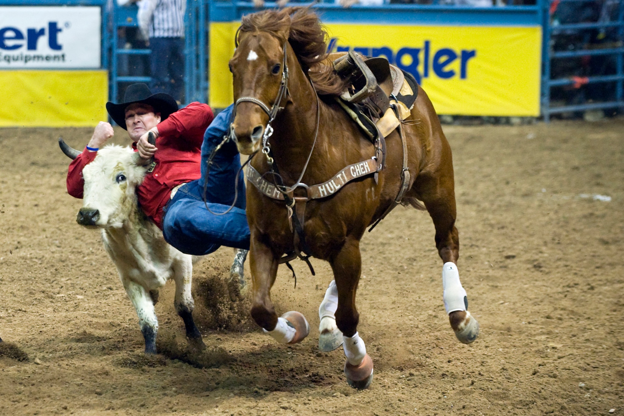 LAS VEGAS - Steer wrestler Luke Branquinho, from Los Alamos, Calif., attempts to bring down a steer during the fourth round of the National Finals Rodeo at the Thomas and Mack Center Dec. 5. The NFR paid tribute to the men and women of the armed forces for their service to our country. (U.S. Air Force photo by Lawrence Crespo/Released) 