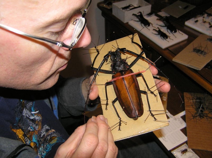 Lt. Col. Geoffrey Crawley positions the specimens prior to drying as part of the mounting procedure. Dr. Crawley is working on an exhibit which will be featured in a Kentucky museum next year. (Courtesy photo)