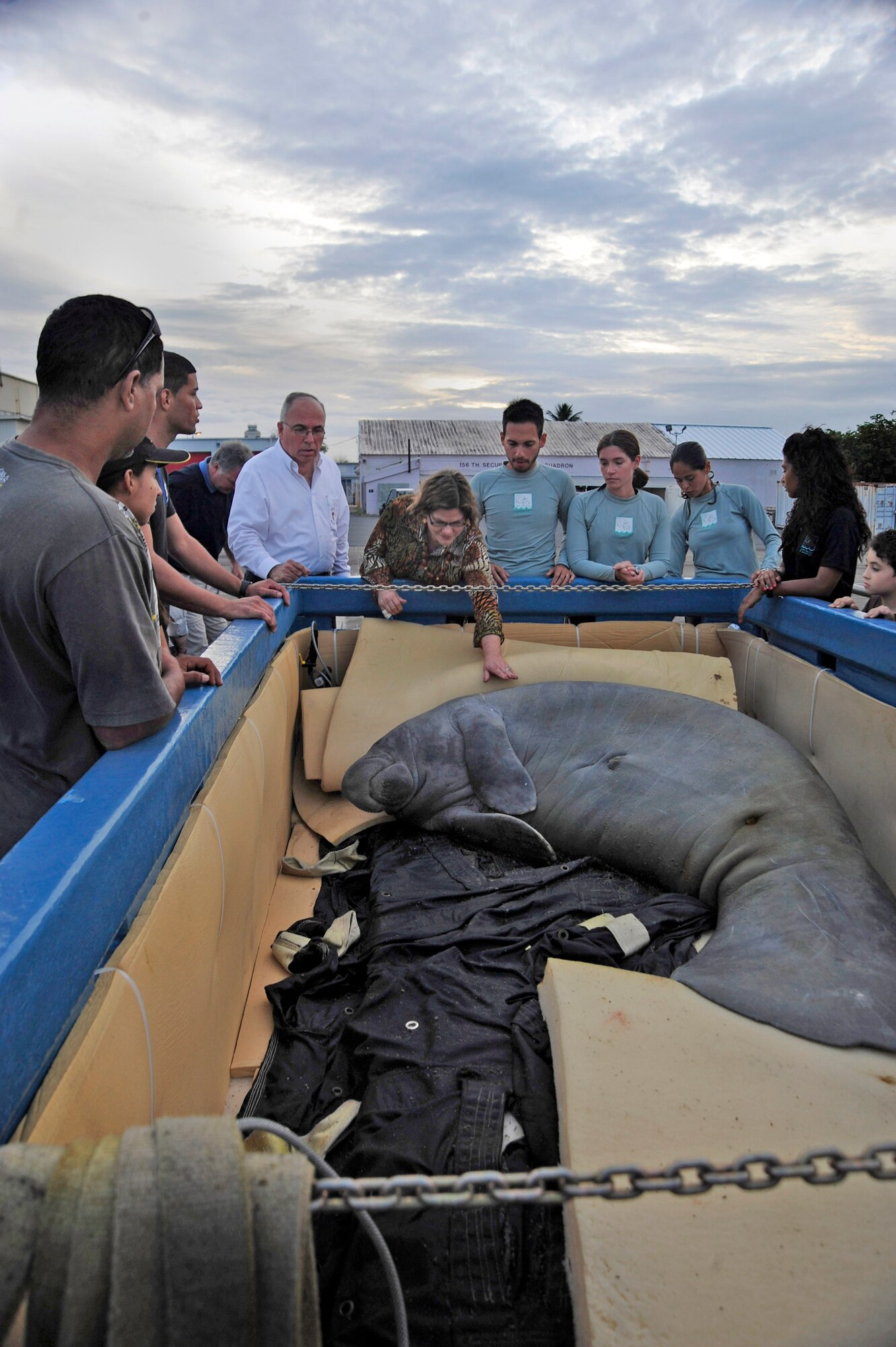 Guacara, the manatee, is greeted by locals after arriving in San Juan, Puerto Rico, Dec 9, 2010, An aircrew from the Puerto Rico Air National Guard’s 156th Airlift Wing transported the manatee from MacDill Air Force Base, Fla., aboard a C-130 Hercules. The manatee was being transported to its new home in the Puerto Rico Zoo (U.S. Air Force photo/Staff Sgt. Angela Ruiz)