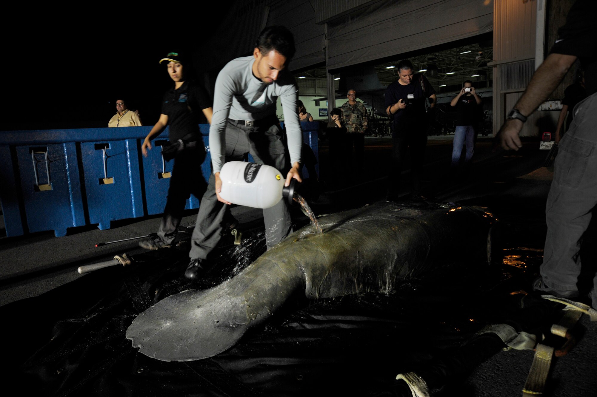 Jonathan Perez Rivera from the Puerto Rico Manatee?s Conservation Center pours water on Guacara a wounded manatee after a four and a half hour flight from MacDill Air Force Base to Puerto Rico Air Natioal Guard C-130.  Guacara Suffered minor injuries in a boat strike and was transported to the Puerto Rico Zoo where he will placed in his new home. (U.S. Air Force photo by: Staff Sgt. Angela Ruiz)