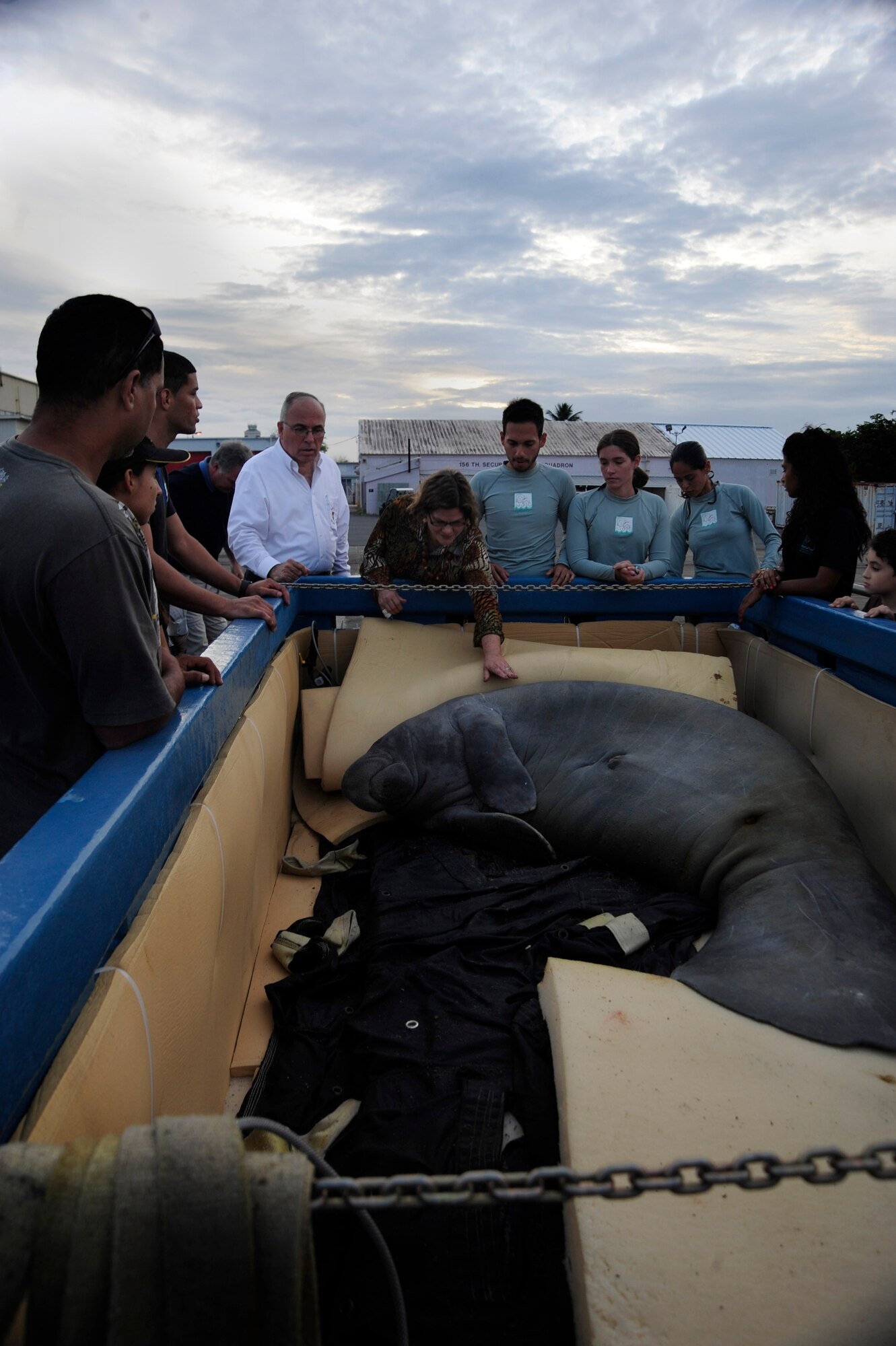 Guacara, the manatee, is greeted by locals after arriving in San Juan, Puerto Rico Dec 9, 2010, The Puerto Rico Air National Guard transported the manatee from MacDill Air Force Base in a C-130. Guacara was greeted by members of the 156th Airlift Wing including Col. Carlos A. Quinones, 156th Airlift Wing commander, and family. Also in attendance during Guacara's welcome home party was Maj. Gen.Antonio J. Vicens, Adjutant General of Puerto Rico. (U.S. Air Force photo by: Staff Sgt. Angela Ruiz)