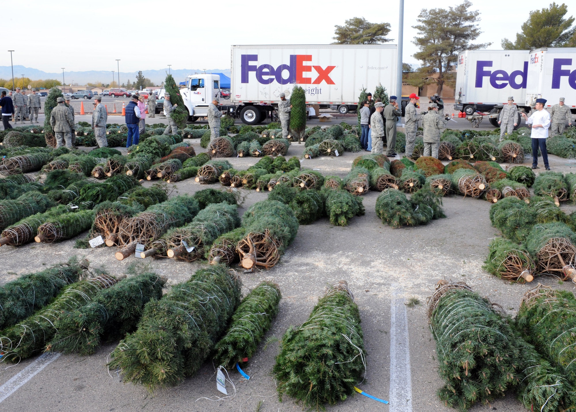 NELLIS AIR FORCE BASE, Nev.-- Airmen from Nellis and Creech look over a parking lot full of Christmas trees at the base chapel during the Trees for Troops giveaway Dec. 10. Trees for Troops, a charity program sponsored by the Christmas SPIRIT Foundation and FedEx, donated more than 650 Christmas trees to Nellis and Creech Airmen and their families. (U.S. Air Force photo by Airman 1st Class Matthew Lancaster)