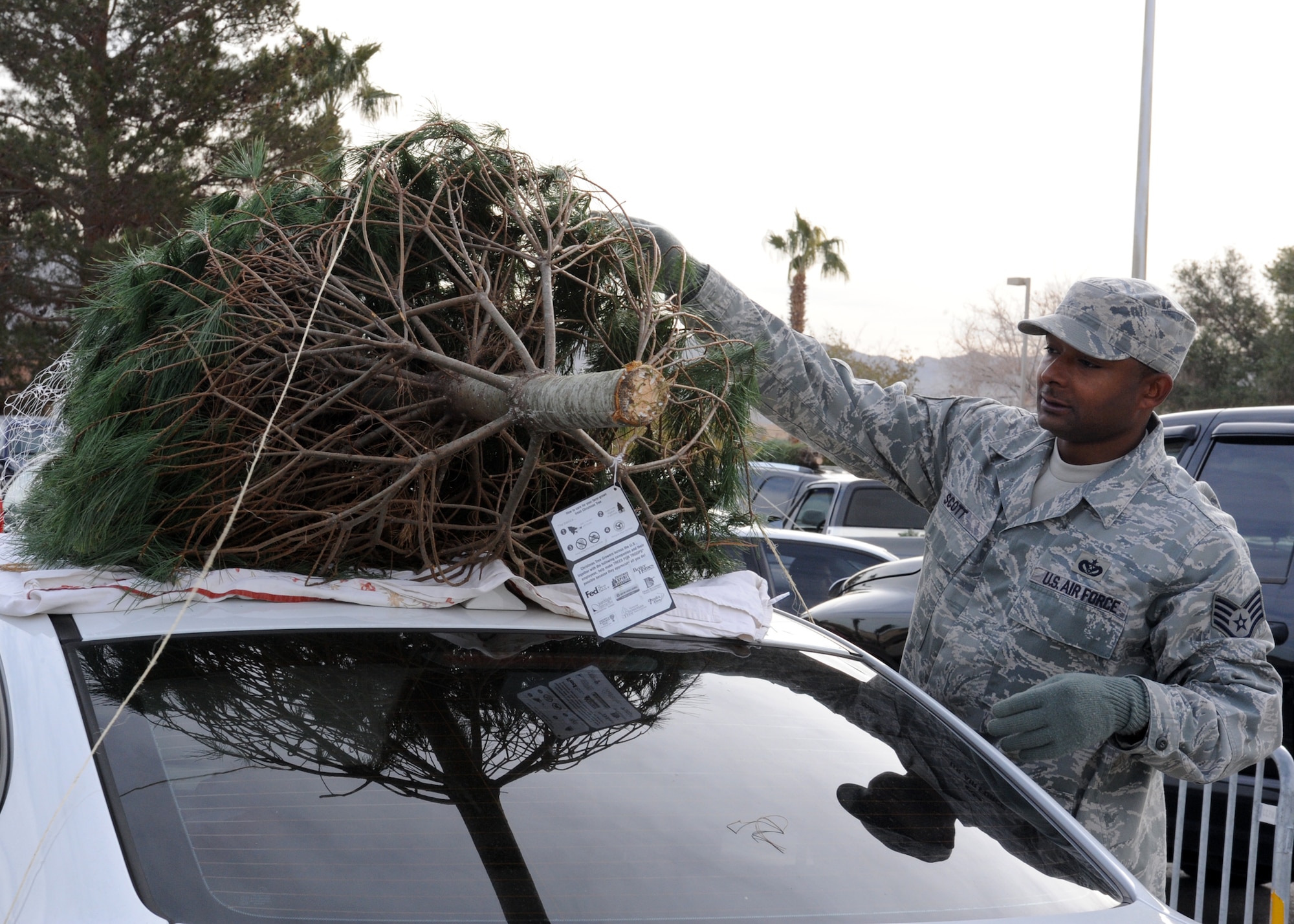 NELLIS AIR FORCE BASE, Nev.--  Staff Sgt. David Scott, an operations management craftsman with the 99th Civil Engineer Squadron, ties a Christmas tree onto a car at the base chapel during the Trees for Troops giveaway Dec. 10. Trees for Troops, a charity program sponsored by the Christmas SPIRIT Foundation and FedEx, donated more than 650 Christmas trees to Nellis and Creech Airmen and their families.  (U.S. Air Force photo by Airman 1st Class Matthew Lancaster)