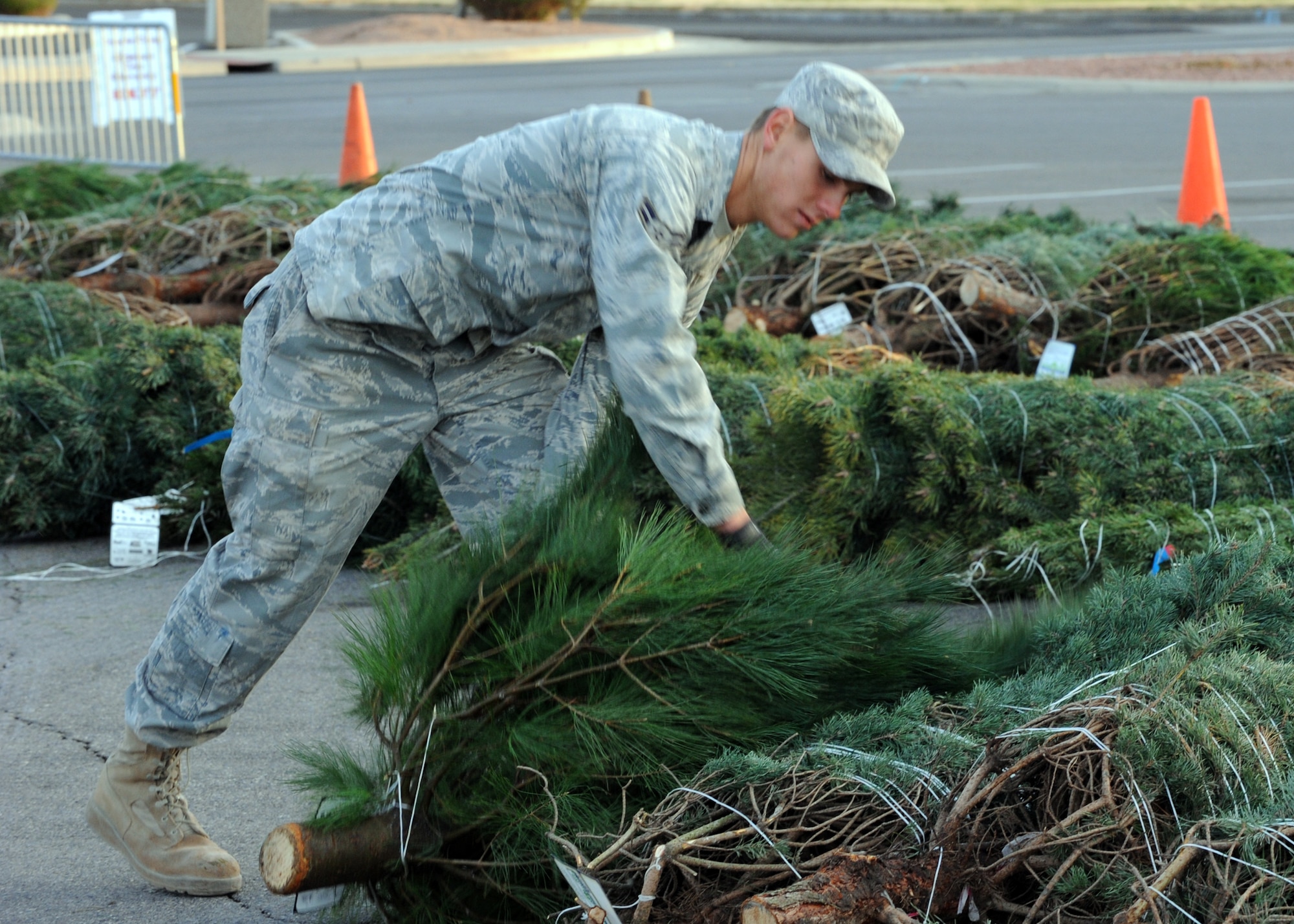 NELLIS AIR FORCE BASE, Nev.-- Airman 1st Class Brennen Bychinski, a heavy equipment operator from the 99th Civil Engineer Squadron, places Christmas trees into rows at the base chapel during the Trees for Troops giveaway Dec. 10. Trees for Troops, a charity program sponsored by the Christmas SPIRIT Foundation and FedEx, donated more than 650 Christmas trees to Nellis and Creech Airmen and their families. (U.S. Air Force photo by Airman 1st Class Matthew Lancaster)