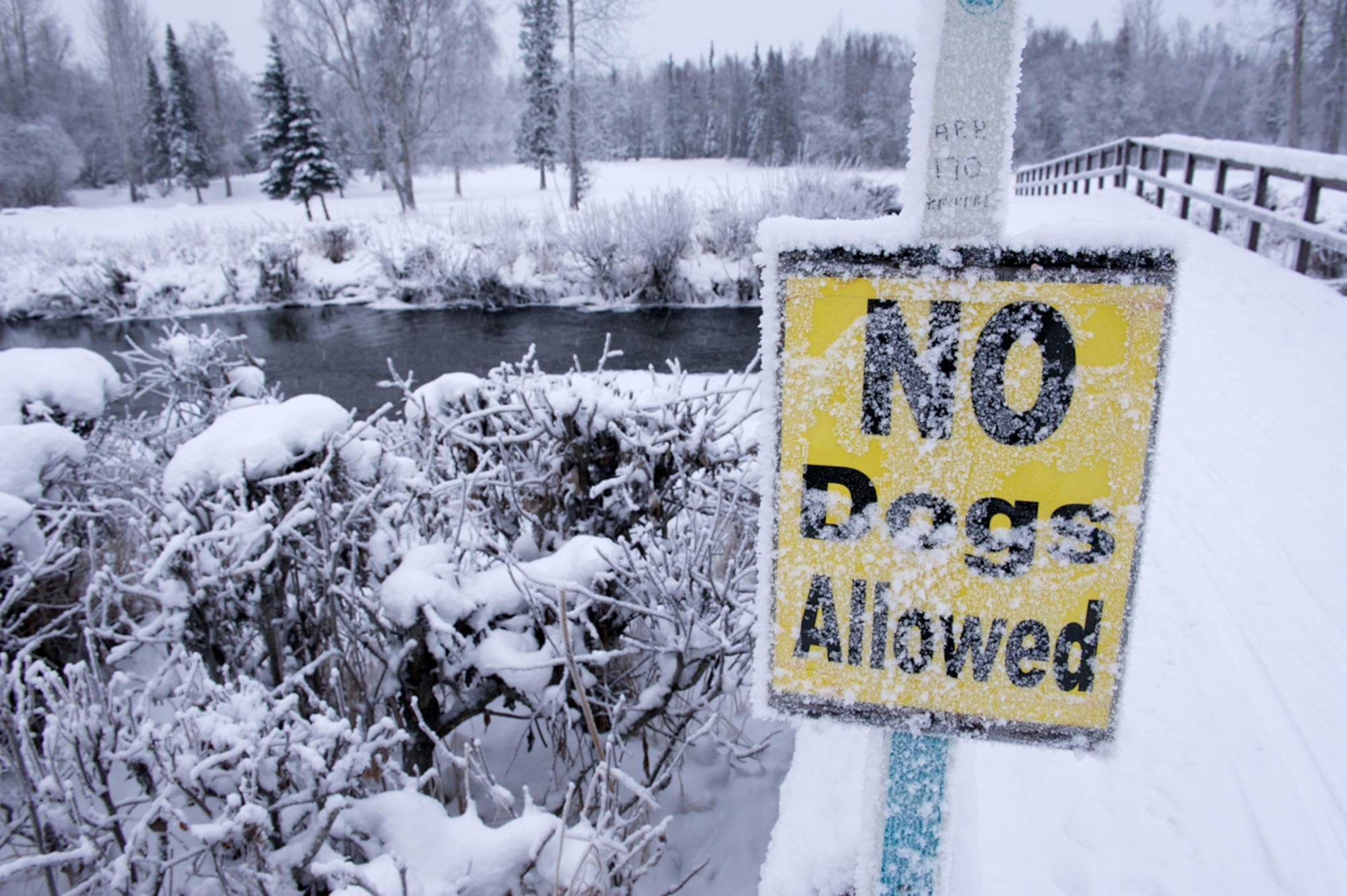 A sign at the Eagleglen Golf Course cross-country ski trail ensures no four-legged animals posthole the groomed trails. The course is host to several beautiful landscape views. (Photos by David Bedard/JBER PAO)