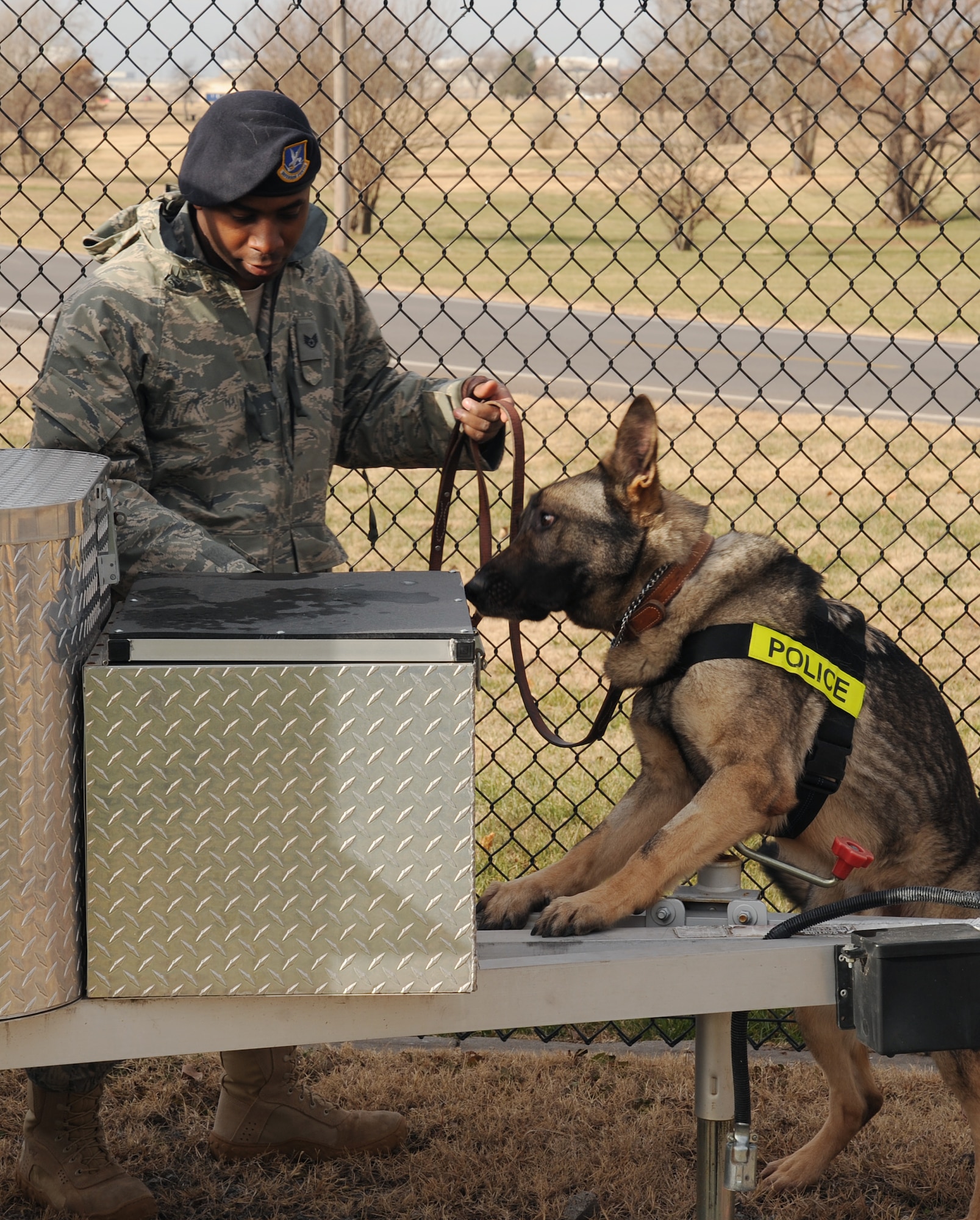Staff Sgt. Travis Dulworth, 22nd Security Forces Squadron military working dog handler, and his K-9, “Andor,” search for mock explosives Dec. 9, 2010, McConnell Air Force Base, Kan. Sodium chlorate and potassium chlorate are used to train the dogs to detect explosives.  K-9s are used to search buildings, vehicles, baggage, packages and aircraft, during threats, protection details or other routine and general sweeps. (U.S. Air Force photo/Airman 1st Class Katrina M. Brisbin)