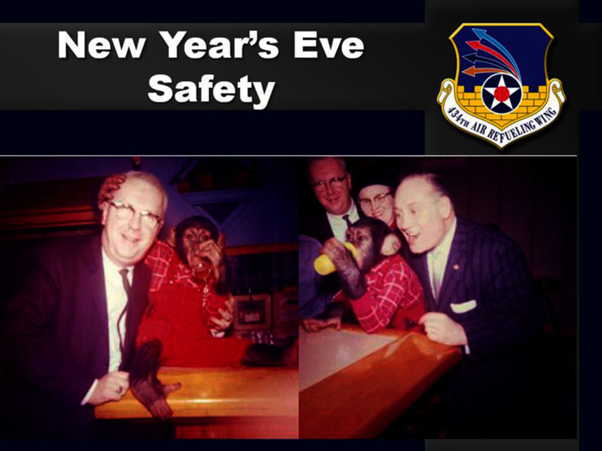 GRISSOM AIR RESERVE BASE, Ind., -- Don't monkey around this New Year's Eve.  Be safe, use a designated driver and take weather conditions into consideration.  (U.S. Air Force graphic)