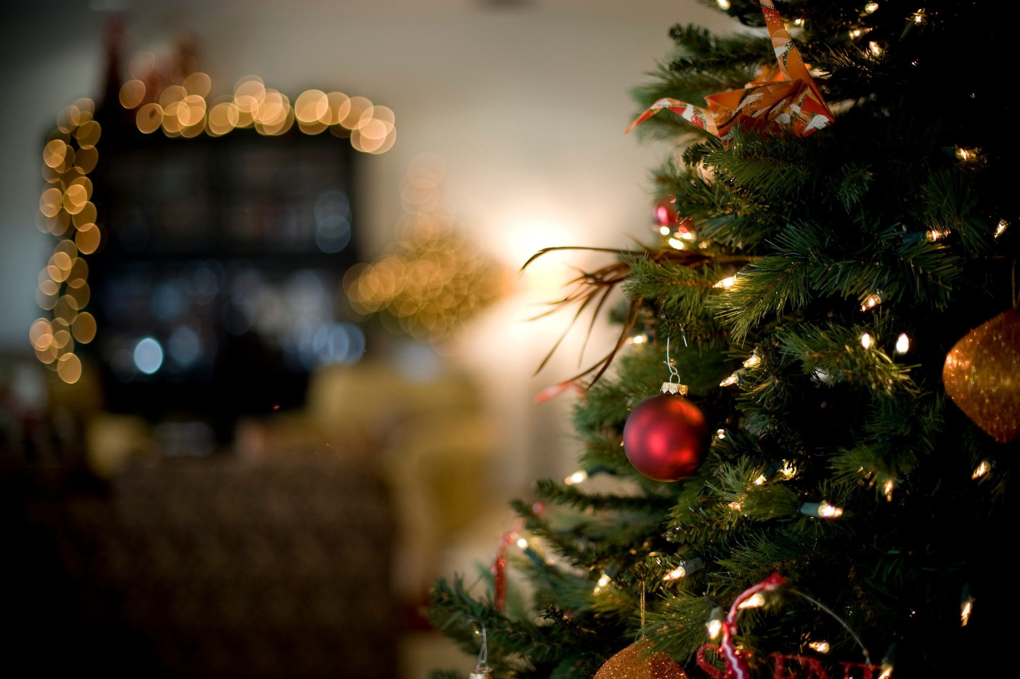 Decorations hang on a Christmas tree at the Rothsteins' home, Misawa Air Base, Japan, prior to a social event with local American and Japanese dignitaries. U.S. Air Force Col. Michael Rothstein, 35th Fighter Wing commander, and his wife Jenn Rothstein hosted the event to bolster relations with the local military and civilian communities. (U.S. Air Force photo by Staff Sgt. Samuel Morse/Released)