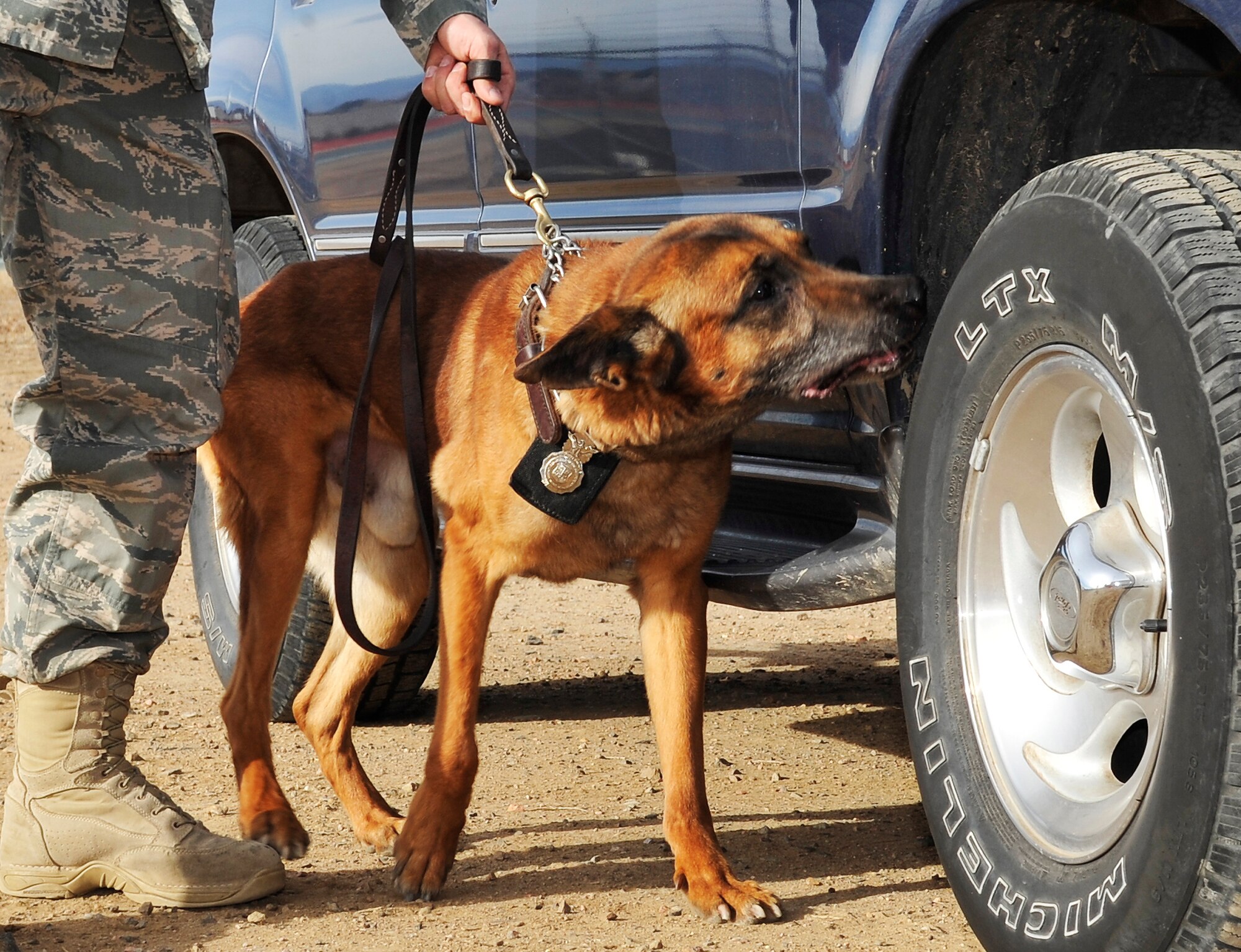 BUCKLEY AIR FORCE BASE, Colo. --Airman Rico, 460th Security Forces squadron inspects a vehicle for any harmful items on Dec. 14, 2010. Rico has contributed a great deal to his service with unyielding loyalty, dedication beyond measures, and unfailing mission support. (U.S. Air Force photo by Airman 1st Class Paul Labbe.) 