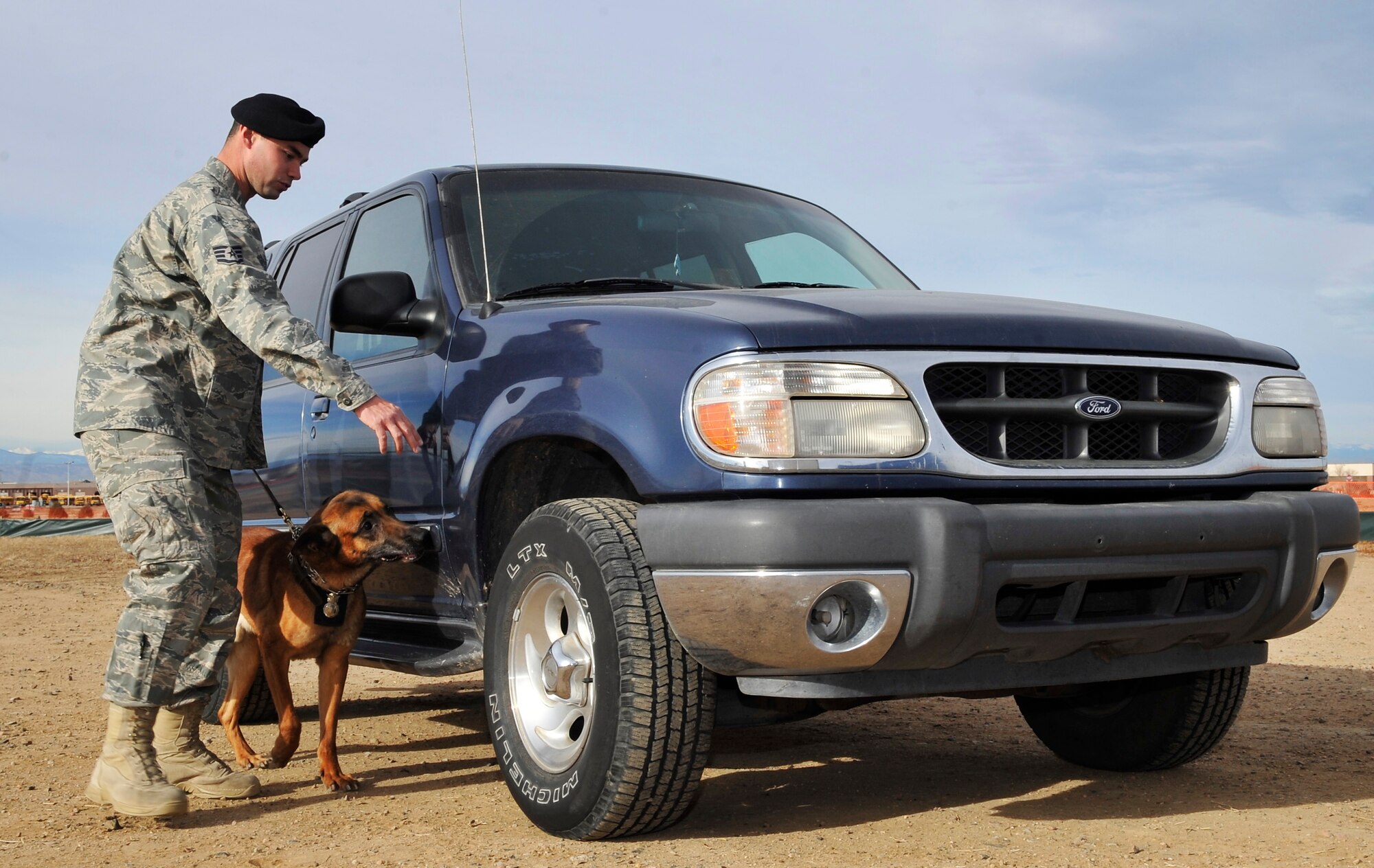 BUCKLEY AIR FORCE BASE, Colo. -- Airman Rico, 460th Security Forces squadron  helps his partner Staff. Sgt. David Duritsky, 460th Security Forces squadron inspect a vehicle on Dec. 14, 2010. Rico has many different occupations such as explosive detector, and patrol dog.(U.S. Air Force photo by Airman 1st Class Paul Labbe.) 
