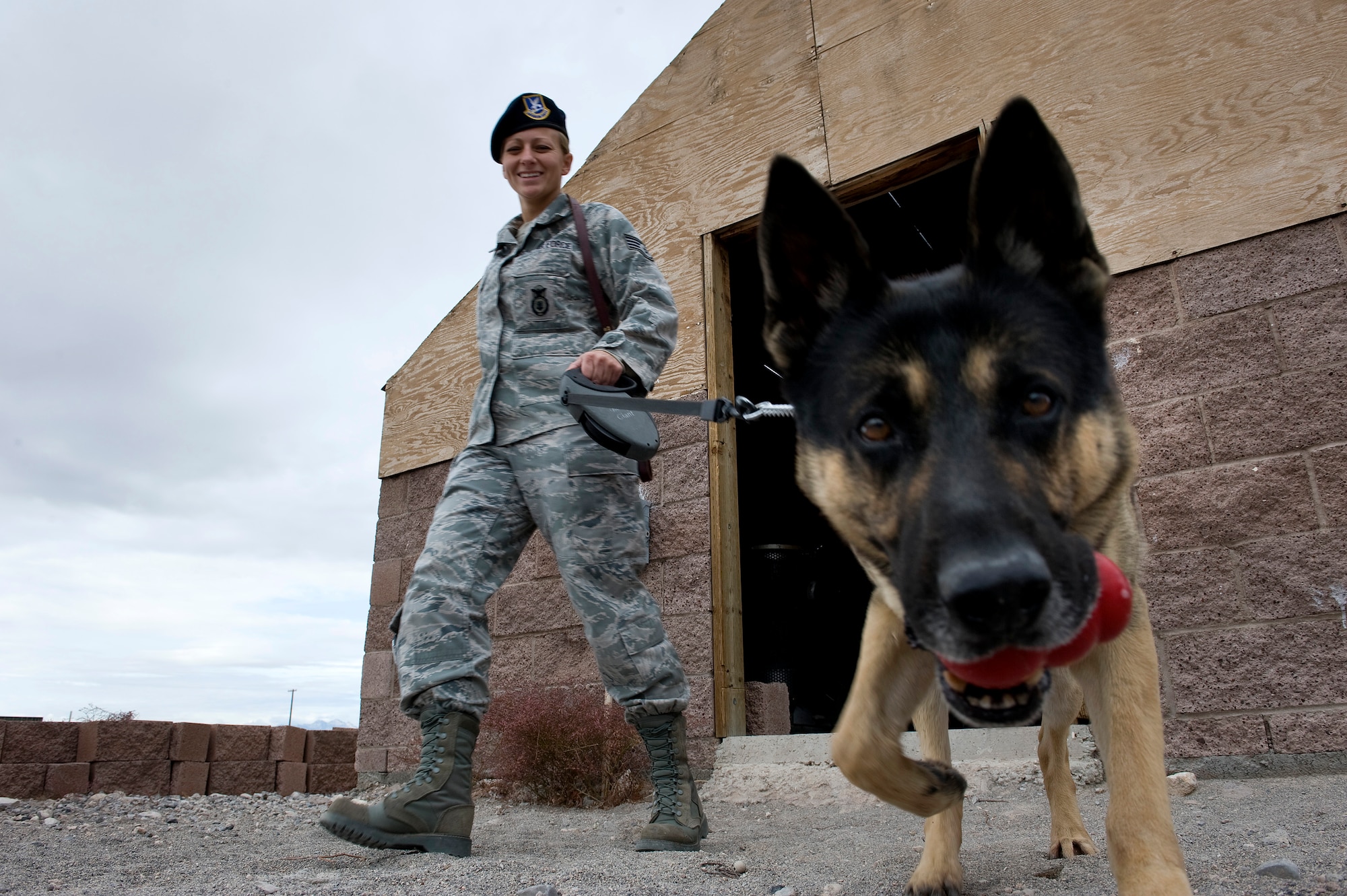 NELLIS AIR FORCE BASE, Nev. -- Staff Sgt. Bobbie Ohm, 99th Security Forces Squadron military working dog handler, walks with Nero, a military working dog, to search for explosives during a joint explosive detection training exercise Dec. 16. Military working dog handlers from the 99th Security Forces Squadron worked with 25 canine teams from the Las Vegas area. (U.S. Air Force photo by Senior Airman Brett Clashman)