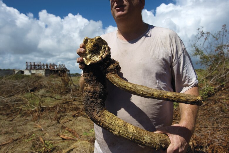 Mr. Penders holds the root of a Brazilian pepper tree that was removed during a launch complex restoration. Overgrowth is an issue at the site. (U.S. Air Force photo/Tech. Sgt. Bennie J. Davis III)