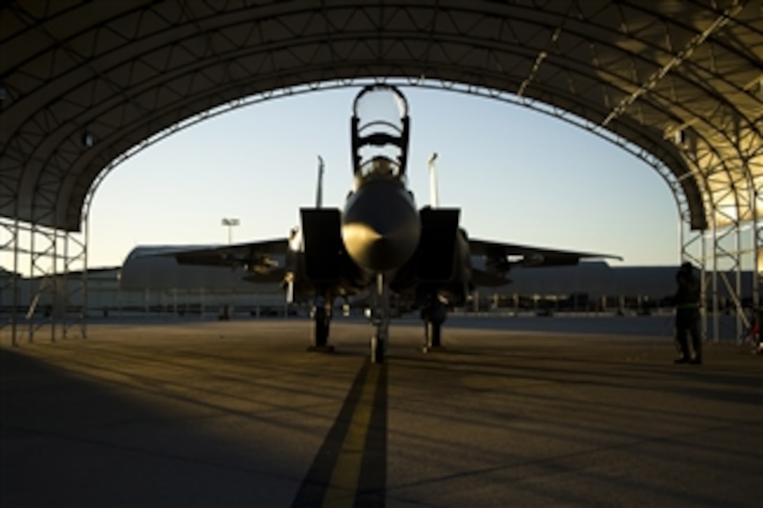 A U.S. Air Force F-15E Strike Eagle aircraft assigned to the 335th Fighter Squadron waits to take part in a training mission at Seymour Johnson Air Force Base, N.C., on Dec. 14, 2010.  