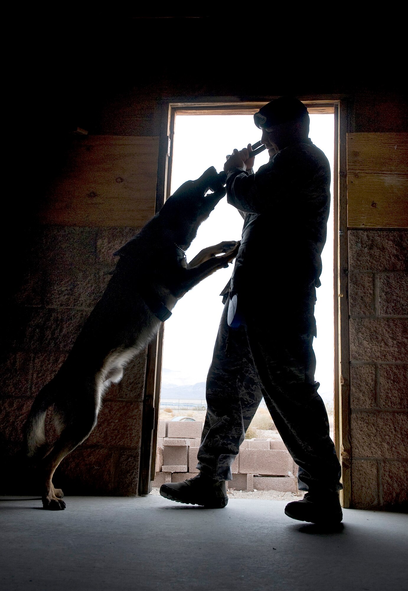Senior Airman Felipe Alvarado rewards Pike with a chew toy after he discovered explosive ordnance Dec. 16, 2010, at Nellis Air Force Base, Nev., during a joint explosive detection training exercise. Airman Alvarado is  a 99th Security Forces Squadron military working dog handler, and Pike is an Air Force military working dog. (U.S. Air Force photo/Senior Airman Brett Clashman)
