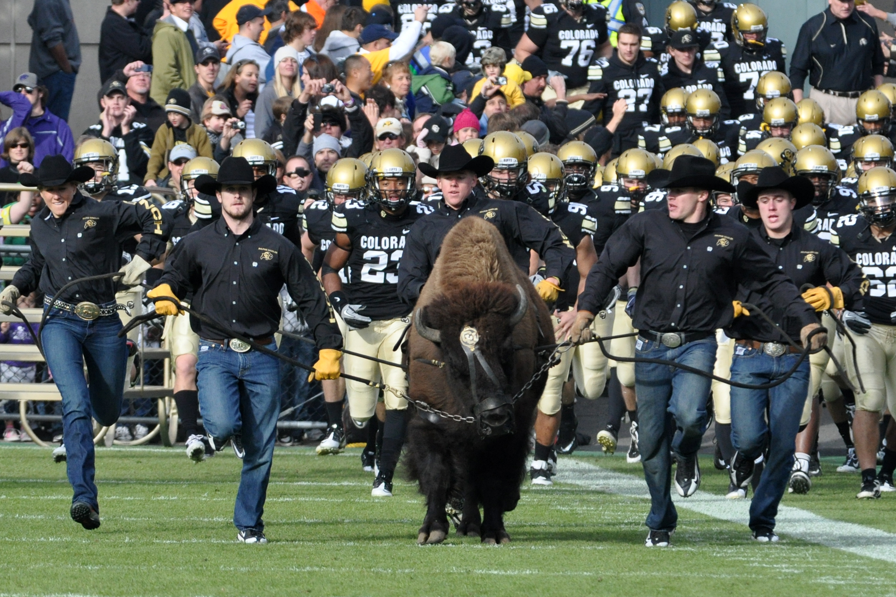 From Bossier Basketballs To Colorado Buffaloes A Matter Of Choices