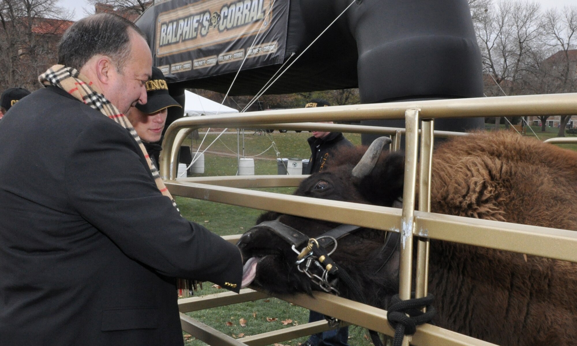 Lt. Col. (Ret) Charlie Morgan, a former process manager for the 917th Wing at Barksdale Air Force Base, La., gets a lick from Ralphie, the University of Colorado mascot outside Folsom Field in Boulder Colo., Nov 20, 2010. Colonel Morgan was at CU to watch his daughter Danielle Morgan, who is a Ralphie Handler, perform during the game between the Colorado Buffaloes and Kansas State Wildcats. The handler team consists of 14 students, who must be physically fit enough to control a 1200 pound buffalo that can reach speeds up to 25 miles per hour. Ralphie, a live buffalo, is one of the more unique mascots in all of intercollegiate athletics. She leads the football team out on the field both at the start of the game and second half. It was in the final game of the 1934 season, when a live buffalo made its first appearance when a group of students paid $25 to rent a buffalo calf along with a real cowboy as his keeper. It took the cowboy and four students to keep the calf under control on the sidelines during the 7-0 win at the University of Denver on Thanksgiving Day. (Courtesy photo/Jeff Walston) 