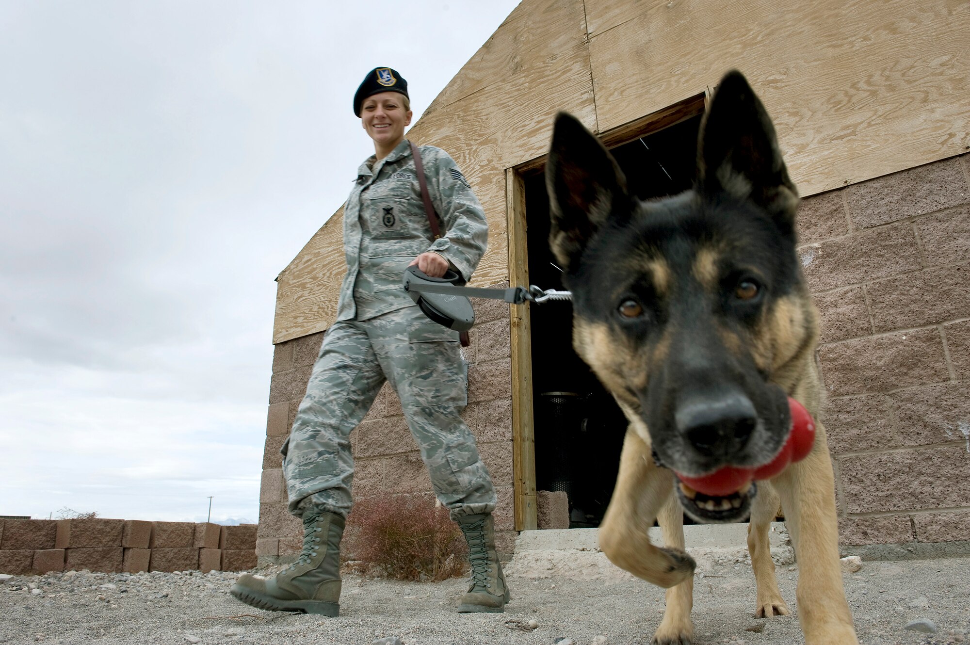 Staff Sgt. Bobbie Ohm walks with Nero, a MWD, to search for explosives during a joint explosive detection training exercise Dec. 16, 2010, at Nellis Air Force Base, Nev. Military working dog handlers from the 99th Security Forces Squadron worked with 25 canine teams from the Las Vegas area. Sergeant Ohm is a 99th SFS MWD handler. (U.S. Air Force photo/Senior Airman Brett Clashman)
