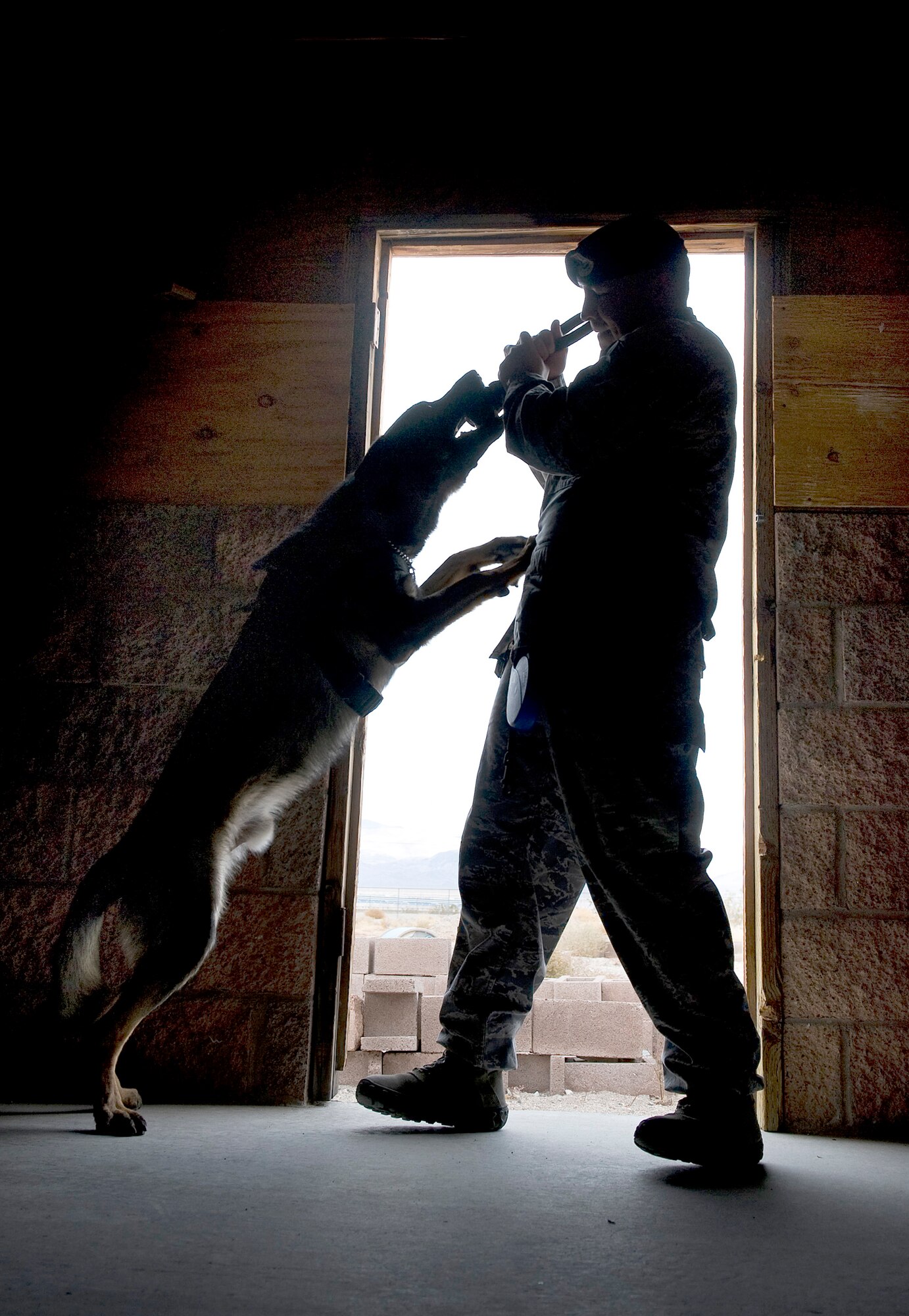Senior Airman Felipe Alvarado rewards Pike, a MWD, with a chew toy after he discovered explosive ordnance during a joint explosive detection training exercise Dec. 16, 2010, at Nellis Air Force Base, Nev. Military working dog handlers from the 99th Security Forces Squadron worked with 25 canine teams from the Las Vegas area. Airman Alvarado is a 99th Security Forces Squadron MWD handler. (U.S. Air Force photo/Senior Airman Brett Clashman)
