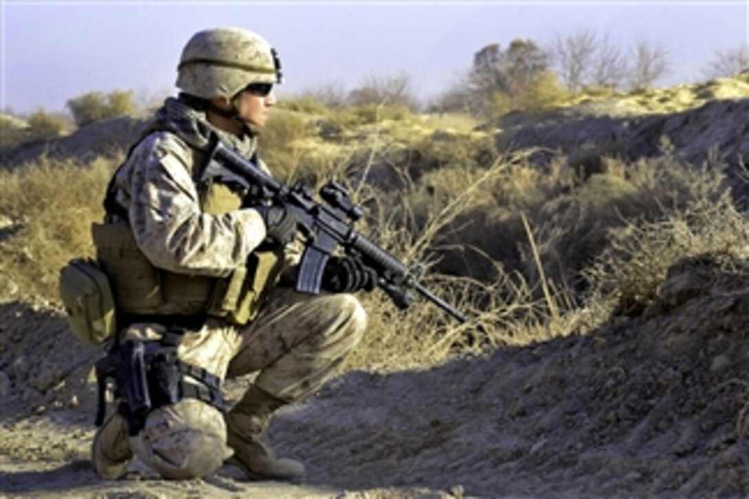 U.S. Marine Corps Gunnery Sgt. Javier Vega pauses for a security halt while conducting perimeter security checks around a new combat outpost in Diwar, Afghanistan, on Dec. 18, 2010.  Vega is assigned to Naval Mobile Construction Battalion 40.  