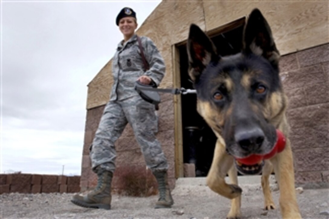 U.S. Air Force Staff Sgt. Bobbie Ohm walks with Nero, a working military dog, to search for explosives during a joint explosive detection training exercise at Nellis Air Force Base, Nev., on Dec. 16, 2010.  Ohm, a military working dog handler, is assigned to the 99th Security Forces Squadron.  