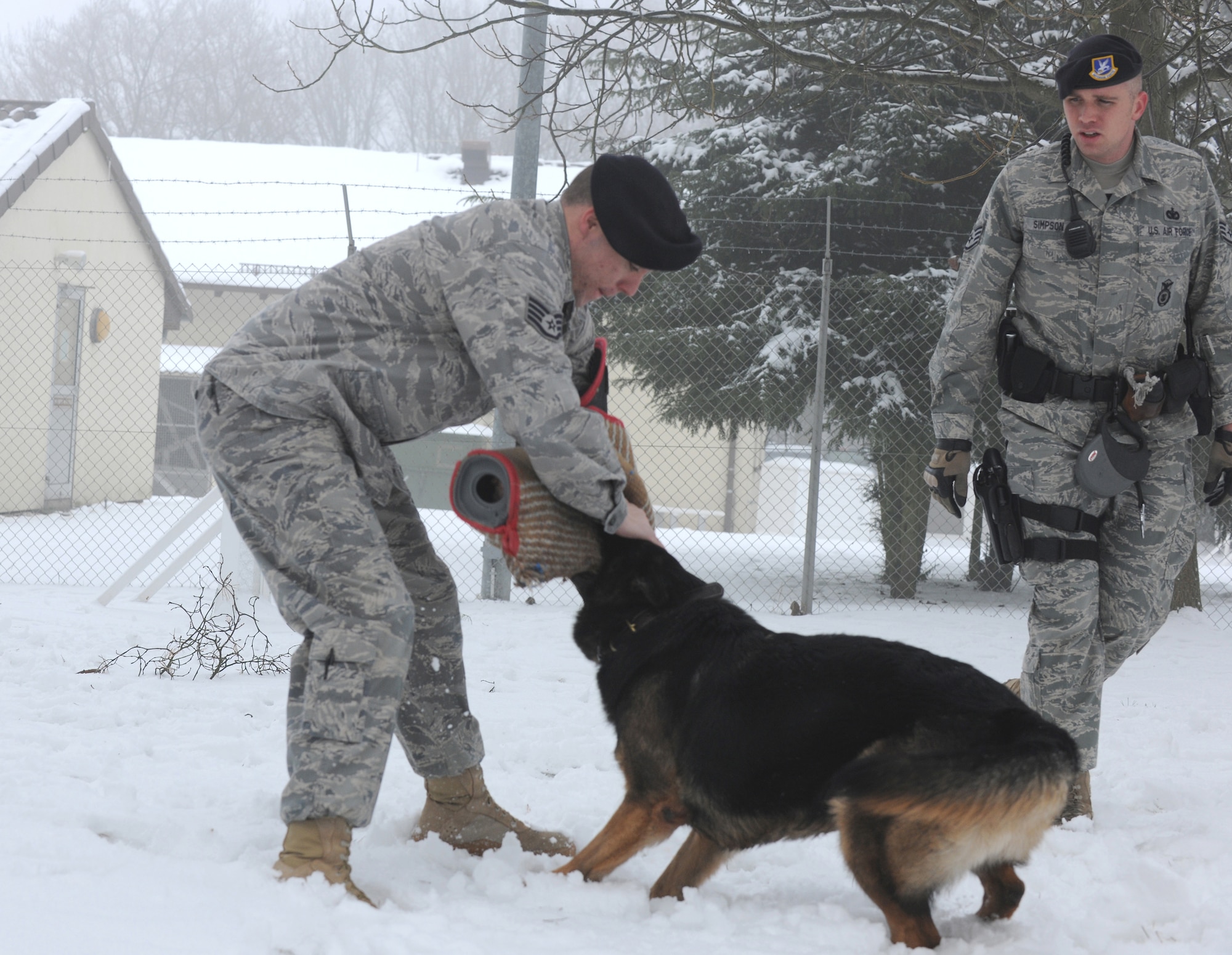 SPANGDAHLEM AIR BASE, Germany – Robson, a 5-year-old German Shepherd, attacks as Staff Sgt. William Washer, 52nd Security Forces Squadron military working dog handler, tries to escape during a training exercise at the 52nd SFS military working dog facility Dec. 29. Handlers play and train with their dogs in the snow to acclimate them to cold German winters and harsh conditions that they must work in. (U.S. Air Force photo/Senior Airman Nathanael Callon)