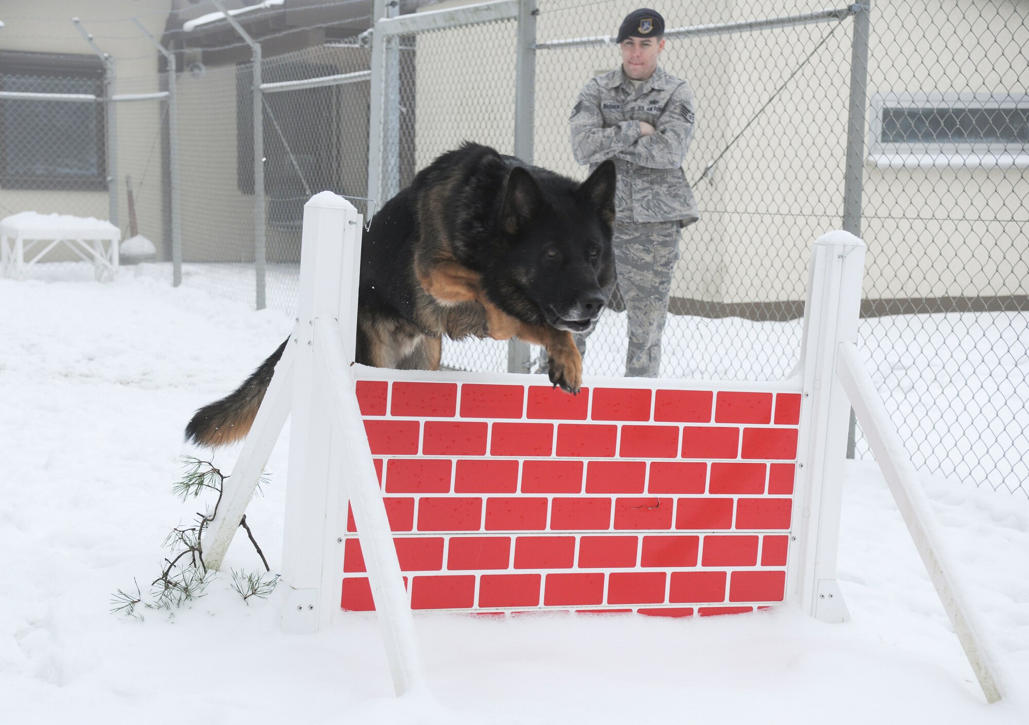 SPANGDAHLEM AIR BASE, Germany – Robson, a 5-year-old German Shepherd, jumps over an obstacle at the 52nd Security Forces Squadron military working dog facility Dec. 29. Military working dogs require extra care during the winter months because of the harsh weather and salt on the roads that irritates the dog’s underbelly and paws. The dogs are also given time daily to play in the snow to help acclimate themselves to the temperature and the snow. (U.S. Air Force photo/Senior Airman Nathanael Callon)