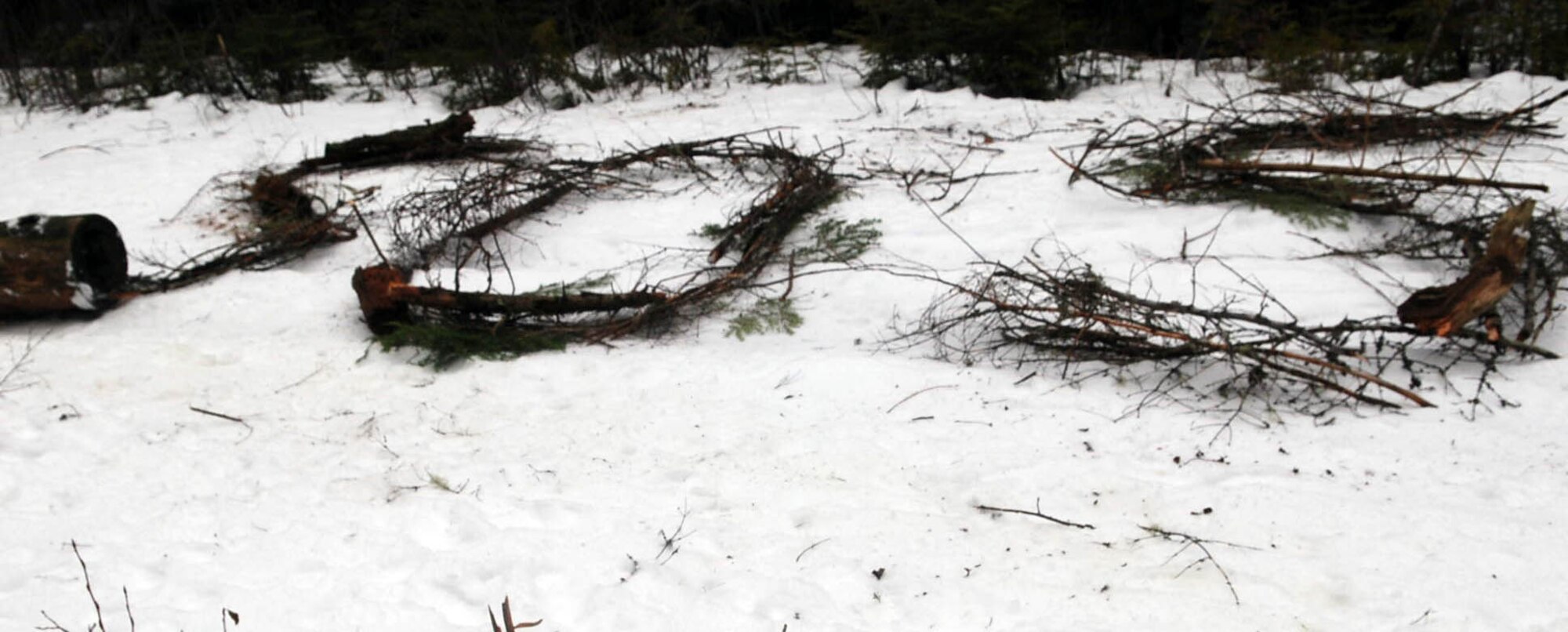 PRIEST LAKE, Idaho - A large S.O.S. constructed by Boy Scouts out of materials from the environment sits in the snow at Priest Lake. The contrast of the dark branches against the white snow and the time-honored distress signal of S.O.S. will alert air crews flying overhead of an isolated person. (U.S. Air Force photo / Senior Airman Emerald Ralston)