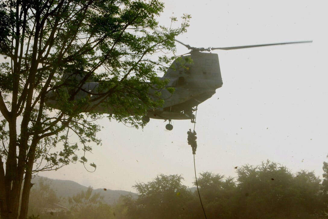 A Marine with Battalion Landing Team 2nd Battalion, 7th Marines (BLT 2/7), 31st Marine Expeditionary Unit (MEU), fast ropes from a CH-46E Sea Knight helicopter during a helicopter raid Feb. 7.  The MEU is currently participating in exercise Cobra Gold 2010 (CG’ 10). The exercise is the latest in a continuing series of exercises design to promote regional peace and security. (Official Marine Corps photo by Lance Cpl. Michael A. Bianco)