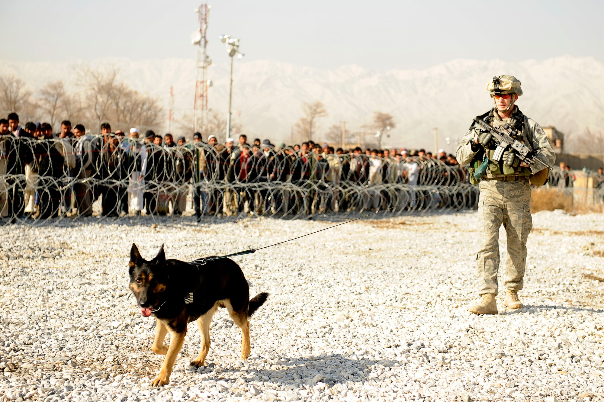 BAGRAM AIRFIELD, Afghanistan--U.S. Air Force Staff Sgt. Mitchell Stein and Artus, a military working dog, 455th Expeditionary Security Forces Squadron perform a presents patrol on Bagram Airfield, Feb. 2, 2010. Sgt. Stein is from Crescent City, Ill., he and Artus are deployed from Spangdahlem Air Base, Germany. (U.S. Air Force photo by/ Tech. Sgt. Jeromy K. Cross/released)