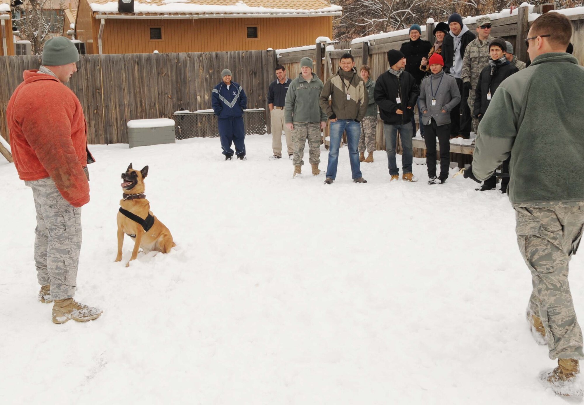376th Expeditionary Security Forces Squadron military working dog handlers put on a demonstration of how their K9, Eric, performs his duties during a National Democratic Institute of Kyrgyzstan tour of the Transit Center at Manas, Feb. 6, 2010. Members of the NDI visited to get a better idea of the operations U.S. and coalition forces conduct here. (U.S. Air Force photo/Senior Airman Nichelle Anderson/released)