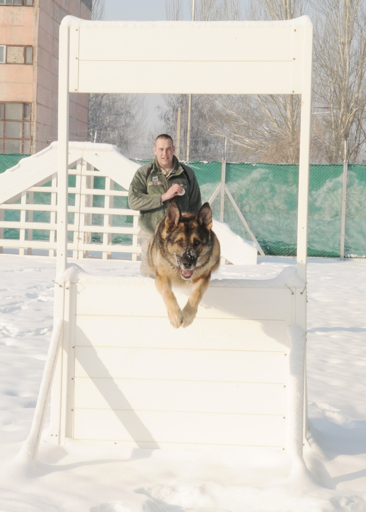 Military working dog Arek runs an obstacle course for his handler, Staff Sgt. Patrick Lau, Feb. 10, 2010, at the Transit Center at Manas, Kyrgyzstan. Both are deployed to the 376th Expeditionary Security Forces Squadron from Hill Air Force Base, Utah. (U.S. Air Force photo/Staff Sgt. Carolyn Viss)

