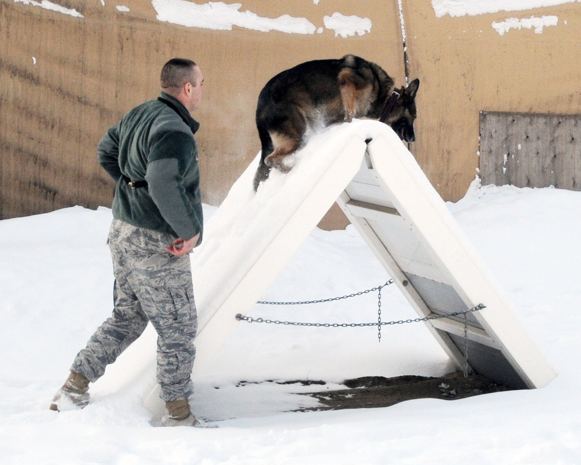 Military working dog Arek runs an obstacle course for his handler, Staff Sgt. Patrick Lau, Feb. 10, 2010, at the Transit Center at Manas, Kyrgyzstan. Both are deployed to the 376th Expeditionary Security Forces Squadron from Hill Air Force Base, Utah. (U.S. Air Force photo/Staff Sgt. Carolyn Viss)

