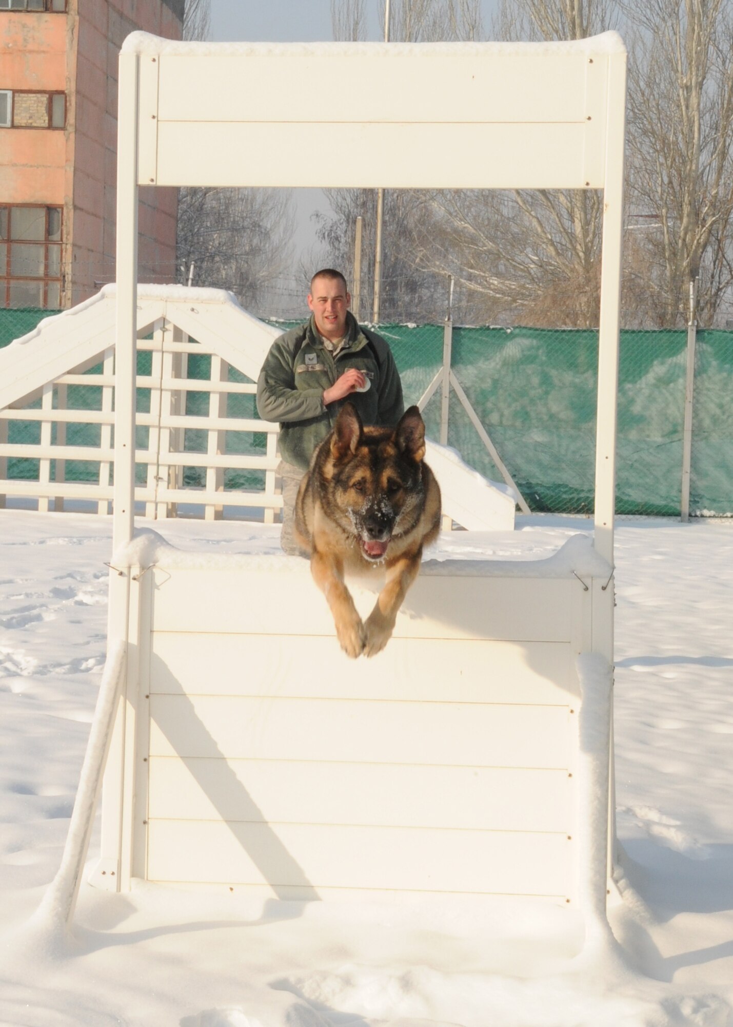 Arek, a military working dog, runs an obstacle course for his handler, U.S. Air Force Staff Sgt. Patrick Lau, Feb. 10, 2010. Both are deployed to the 376th Expeditionary Security Forces Squadron Transit Center at Manas, Kyrgyzstan, from Hill Air Force Base, Utah. (U.S. Air Force photo/Staff Sgt. Carolyn Viss)