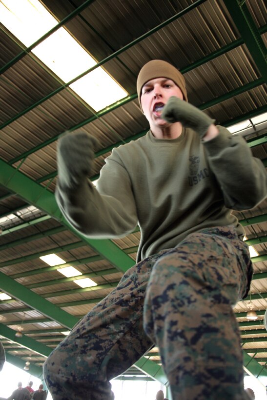 Recruit James Reagan performs the vertical-hammer fist during his MCMAP training at Leatherneck Square, Feb. 18. During their training, recruits execute the techniques they learn ::r::::n::repetitively, to ensure muscle memory.