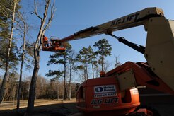 George Huff works on cutting down a dead tree on Joint Base Charleston Feb. 17. Mr. Huff is a member of the landscaping crew that works for Joppa Maintenance Company. The purpose of cutting down the trees is to reduce the number that are diseased or dead. (U.S. Air Force photo/Senior Airman Katie Gieratz)(RELEASED) 