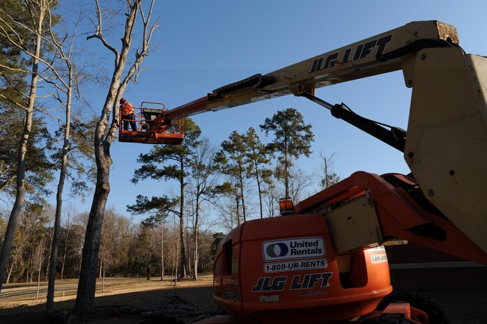 George Huff works on cutting down a dead tree on Charleston AFB, Feb. 17. Mr. Huff is a member of the landscaping crew that works for Joppa Maintenance Company. The purpose of cutting down the trees is to reduce the number that are diseased or dead. (U.S. Air Force photo/Senior Airman Katie Gieratz)(RELEASED)