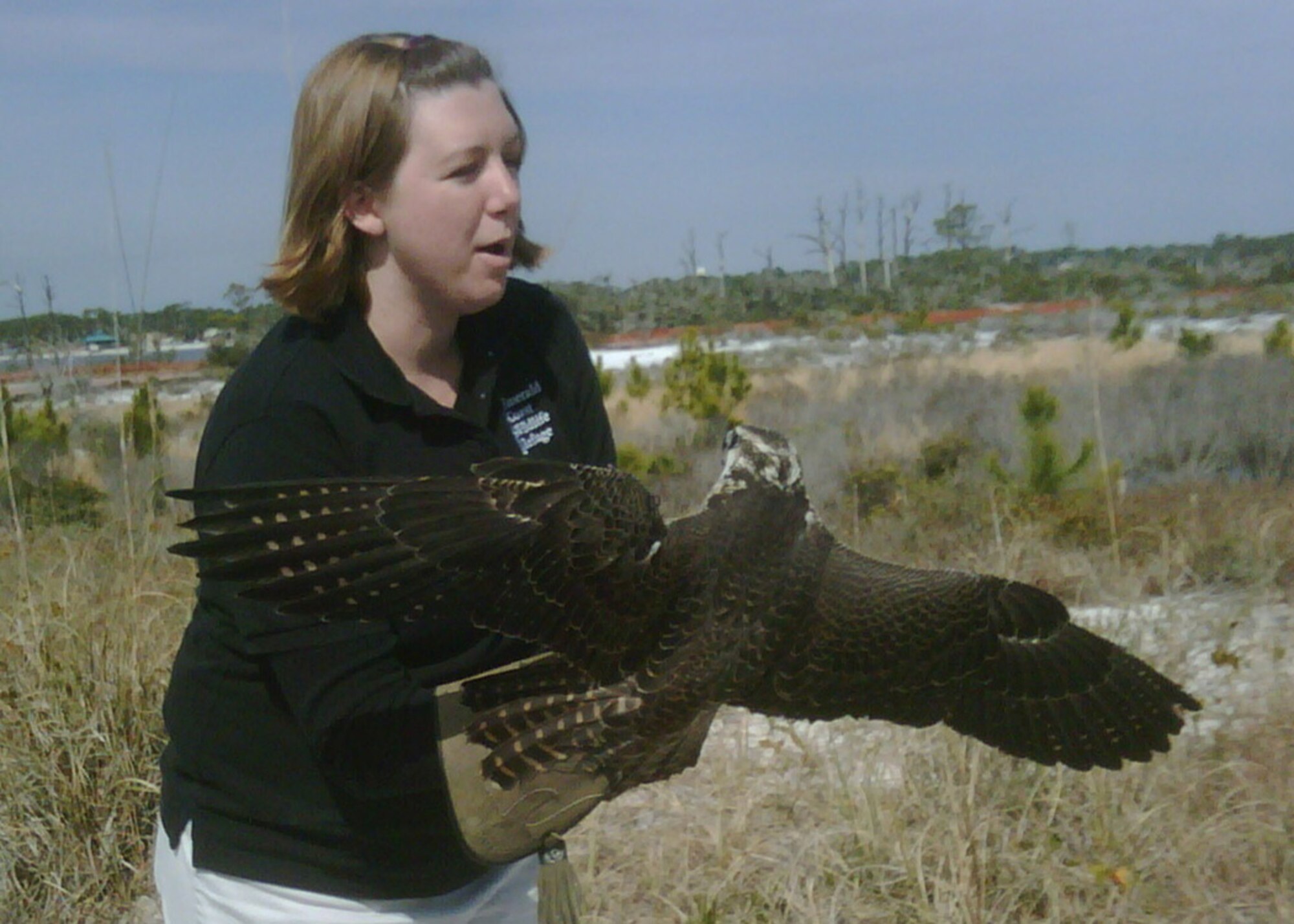 Stephanie Kadletz, Emerald Coast Wildlife Refuge, releases a Peregrine Falcon on the secured area of Eglin reservation on Santa Rosa Island Feb.19. The falcon had been rehabilitated by the biologists from the ECWR after being shot in the wing by an arrow in November. The Peregrine Falcon is a migratory bird that most likely came from as far north as Canada. While in the Refuge's care, the bird's injuries were treated and medication applied as needed. The bird is thought to be approximately 1-year-old and is expected to make a full recovery.  (U.S. Air Force photo/Mike Spaits.)