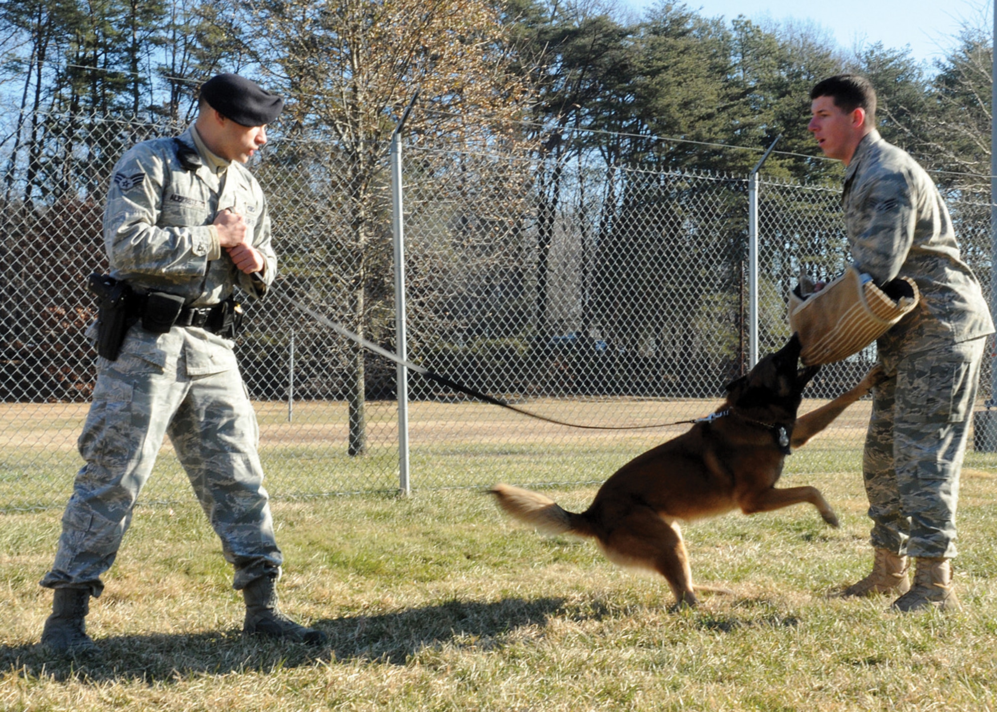 Senior Airman Joshua Alprete, 316th Security Forces Squadron military working dog handler, practices controlled aggression with Boy, his Belgian Malinois Shepherd, and Senior Airman Benjamin Lee, 316 SFS military working dog handler, at Joint Base Andrews, Md. In this exercise, Airman Alprete demonstrates protocol for when a suspicious person is spotted during routine security sweeps. He firsts asks the person for I.D. and to come speak with him, and if for some reason the person flees, he releases his dog to stop the suspect. (U.S. Air Force photo by Chelsea Gitzen)