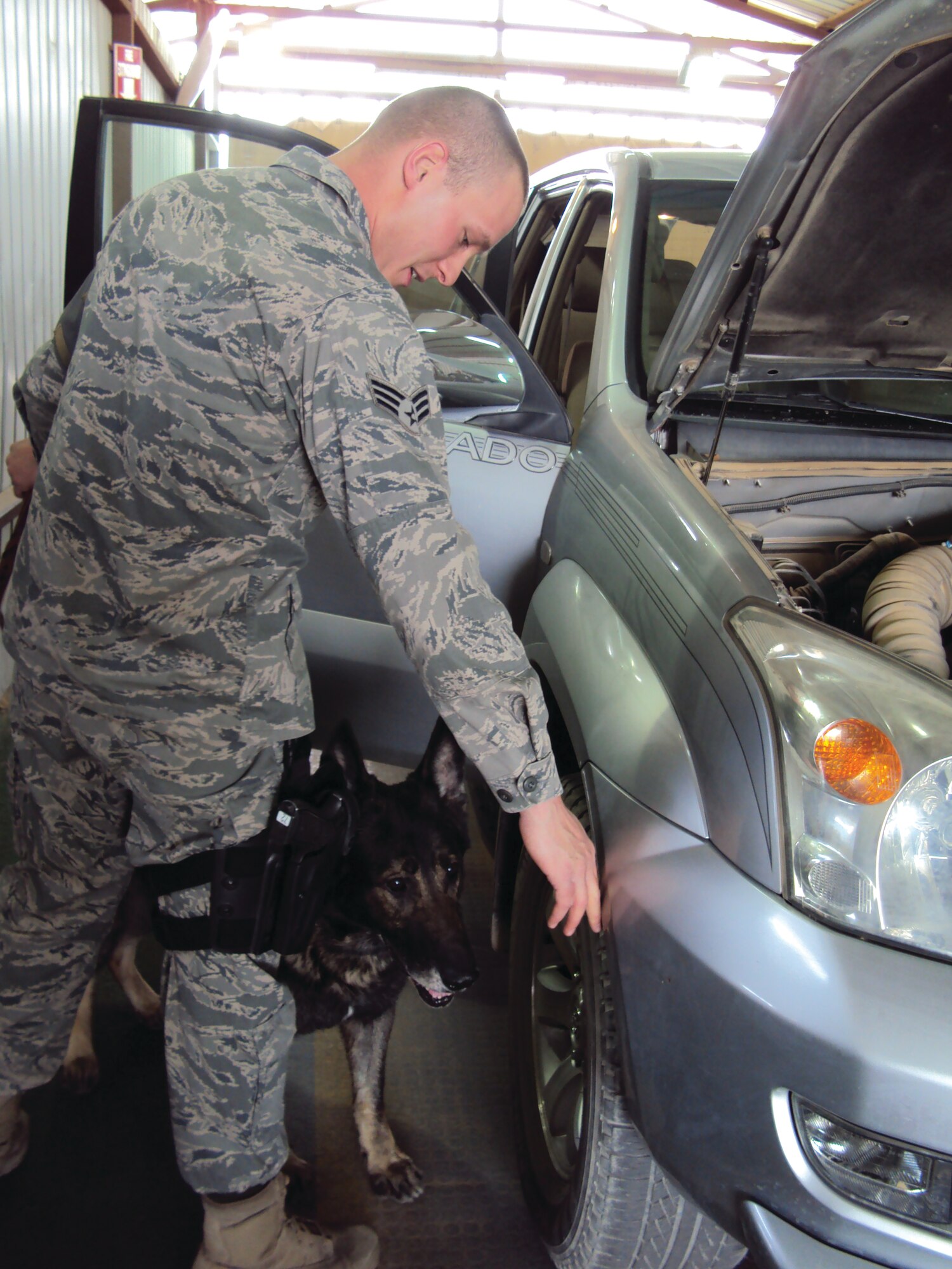 Senior Airman Daniel Carpenter and military working dog Alada, 64th Expeditionary Security Forces Squadron, search a vehicle prior to it being allowed entry to the installation at a deployed location in support of Operation Iraqi Freedom.