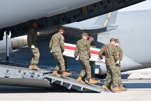 A U.S. Marine Corps team transfers the remains of Marine Corps Lance Cpl. Larry M. Johnson, of Scranton, Pa., at Dover Air Force Base, Del., February 20. Lance Cpl. Johnson was assigned to 2nd Combat Engineer Battalion, 2nd Marine Division, II Marine Expeditionary Force, Camp Lejeune, N.C. (U.S. Air Force photo/Roland Balik)