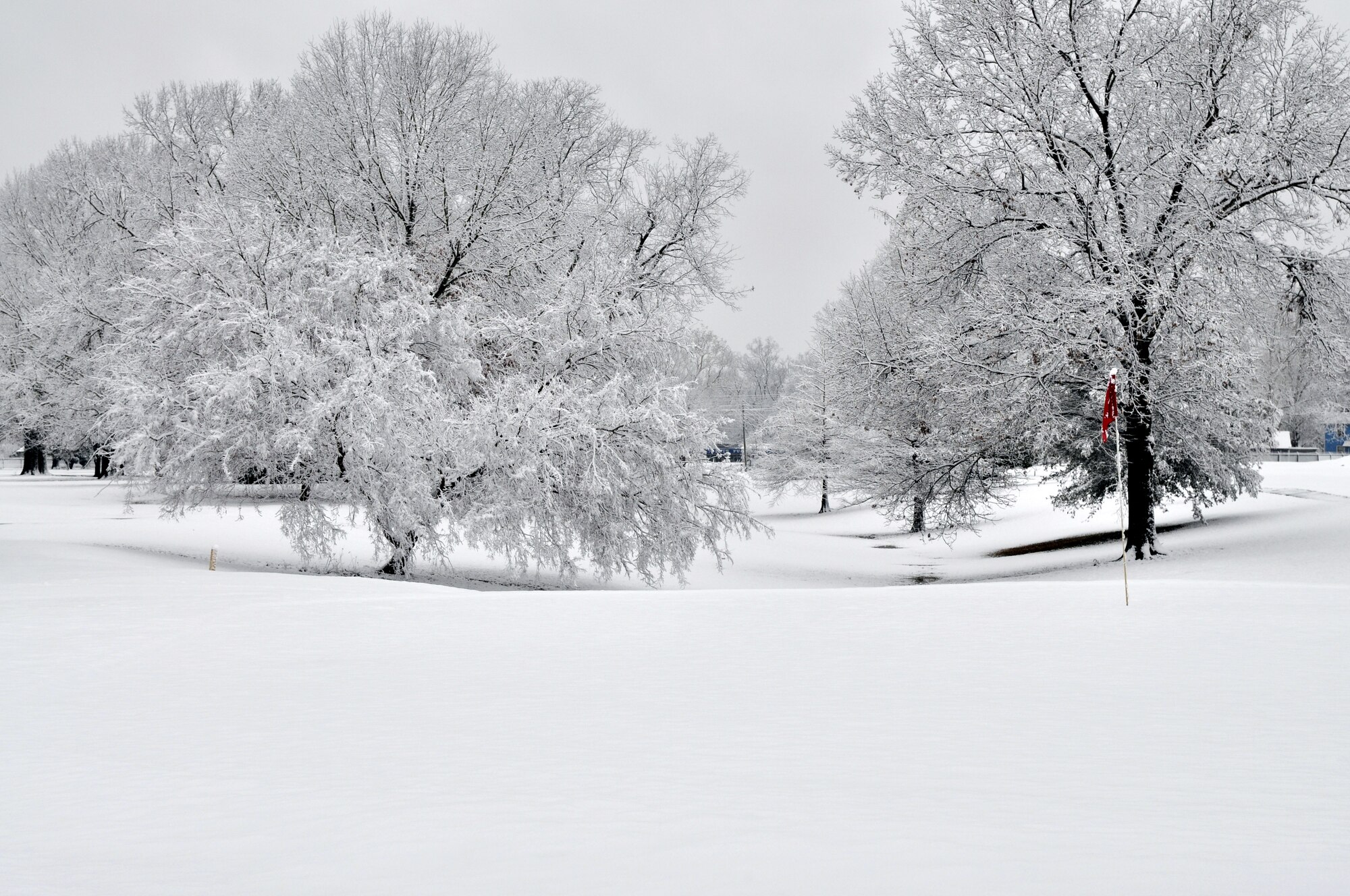 The golf course on Barksdale Air Force Base, La., is nearly disguised by snow on Feb. 12, 2010. Barksdale, covered in two-and-a-half inches of snow, opened its gates after 10 a.m. due to the snowfall throughout the night. This coating is the first in over five years for the Barksdale, which houses the 917th Wing. (U.S. Air Force Photo/Tech. Sgt. Jeffrey Walston)