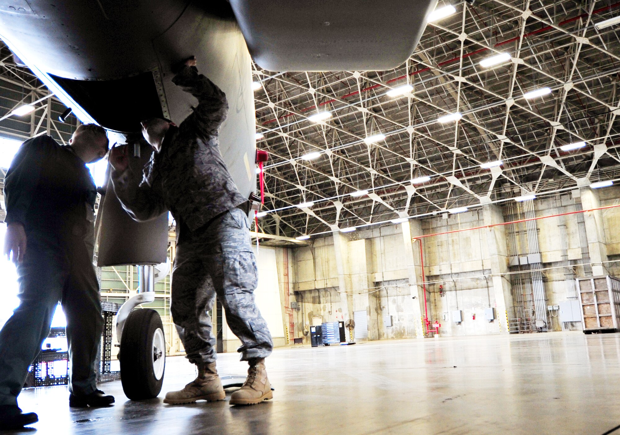 Staff Sgt. Shaun Mullock and Takuya Nishibo look at the electronics of an F-15 Eagle Feb. 16, 2010, at Kadena Air Base, Japan. Sergeant Mullock is an electrical environmental systems specialist assigned to the 18th Aircraft Maintenance Squadron and Mr. Nishibo is a member of the Japan Air Self Defense Force. (U.S. Air Force photo/Tech. Sgt. Rey Ramon)