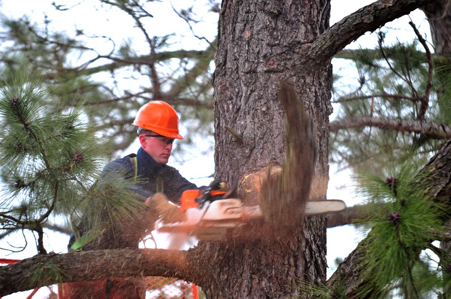 Staff Sgt. Daniel Steenstra, 201st RED HORSE Squadron Detachment 1 heavy equipment operator, saws dead limbs off a tree at Seymour Johnson Air Force Base, N.C., Feb. 24, 2010.  Pruning the trees helps promote growth and prevents dead limbs from causing damage. Steenstra is temporarily assigned here from Willow Grove Air National Guard Base, Pa., and hails from Shippensburg, Pa. (U.S. Air Force photo/Senior Airman Rae Perry)