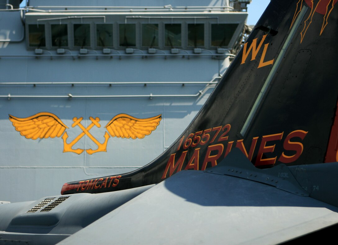 Golden wings and anchors (left) are the aviation boatswain insignia and represent sailors who work on the flight deck aboard the forward-deployed amphibious assault ship USS Essex (LHD-2). The squadron bird (right), a showcase AV-8B Harrier II with Marine Attack Squadron 311 (VMA-311), 31st Marine Expeditionary Unit (MEU), bares their unit logo on its rotor. VMA-311 is the fixed-wing attack component of the Aviation Command Element (ACE) attached to the MEU. The MEU recently completed Exercise Cobra Gold 2010 (CG ’10) and is currently scheduled to go underway to the Republic of the Philippines in support of Exercise Balikatan 2010 (BK ’10).