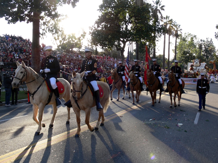 horse-marines-prepare-for-success-marine-corps-logistics-base-barstow