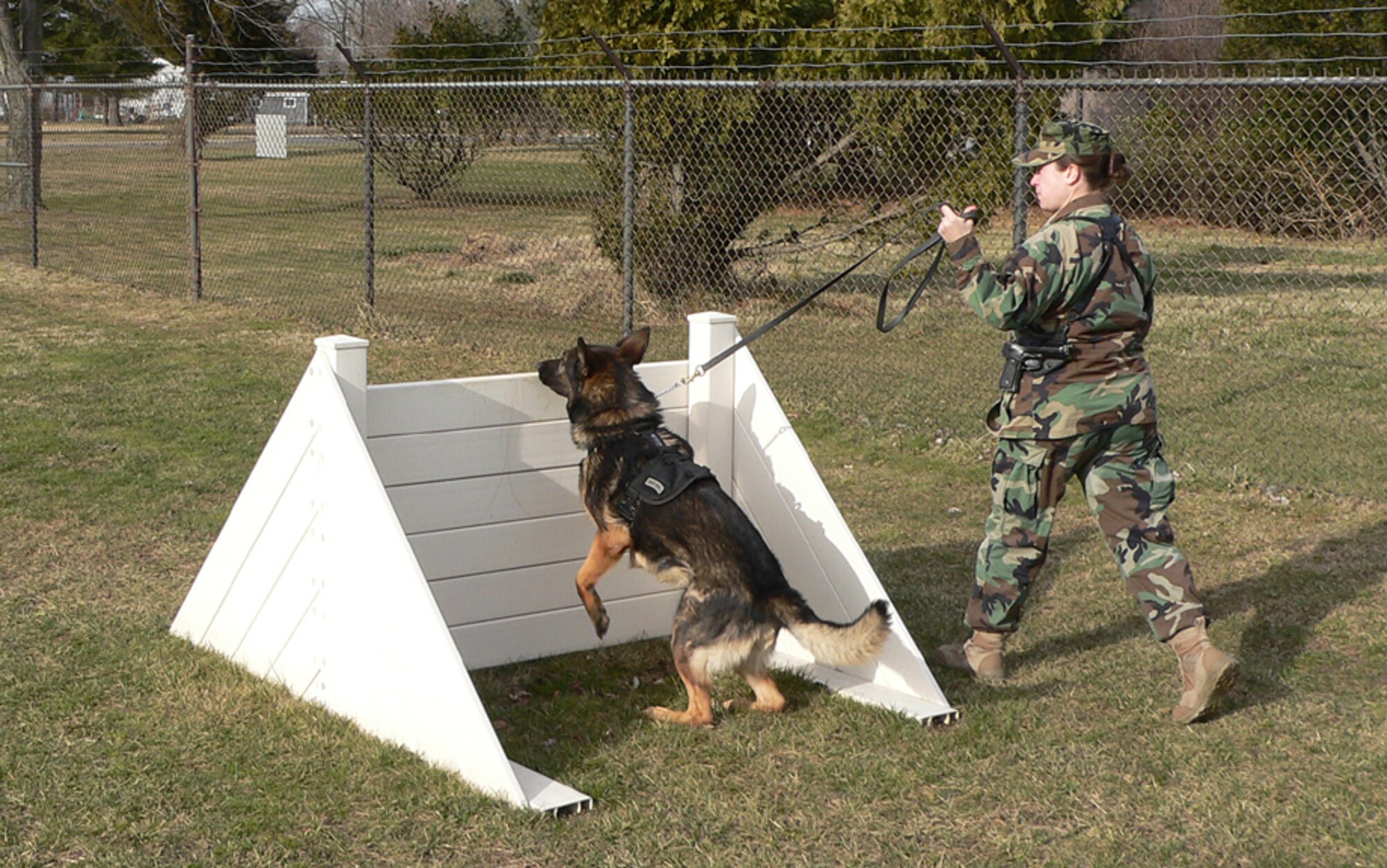 Master at Arms 2nd Class Ashley Bidon, a Navy dog handler at Joint Base McGuire-Dix-Lakehurst, N.J., guides her dog over an obstacle on the training course at the McGuire kennel. The dogs, usually German Shepherds or Belgian Malinois, are selected for military working dog duty based on traits such as intelligence and energy. (U.S. Air Force photo/Steve Snyder)