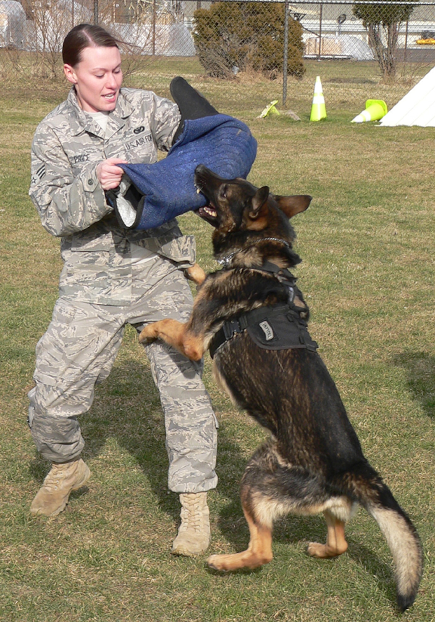 Senior Airman Allison Price, 87th Security Forces Squadron dog handler, leads her dog in a controlled aggression exercise. Military working dogs are used in several capacities - detecting drugs and explosives, deterring threats and protecting their handlers. (U.S. Air Force photo/Steve Snyder)